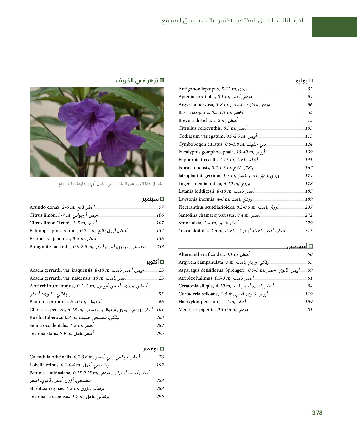 RiyadhPlantsManualAr Ci Oy الصفحة 379 PDF على الإنترنت