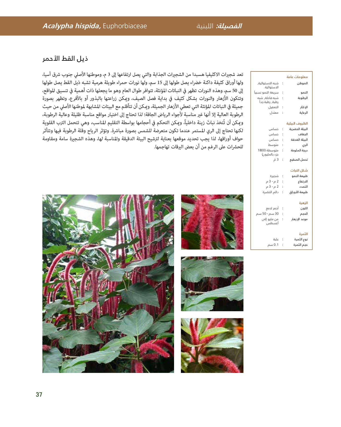 RiyadhPlantsManualAr Ci Oy الصفحة 38 PDF على الإنترنت