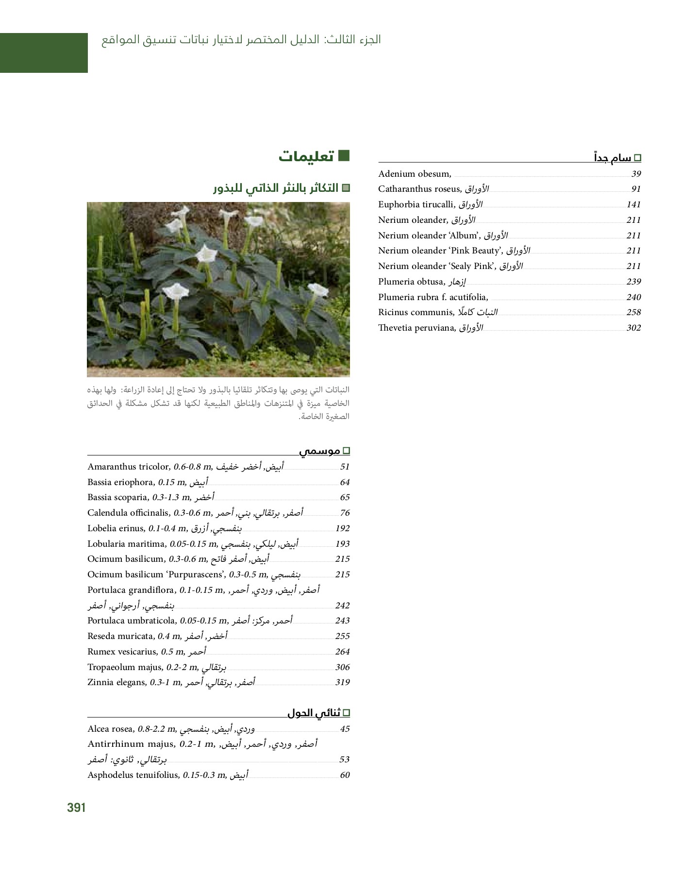 RiyadhPlantsManualAr Ci Oy الصفحة 392 PDF على الإنترنت