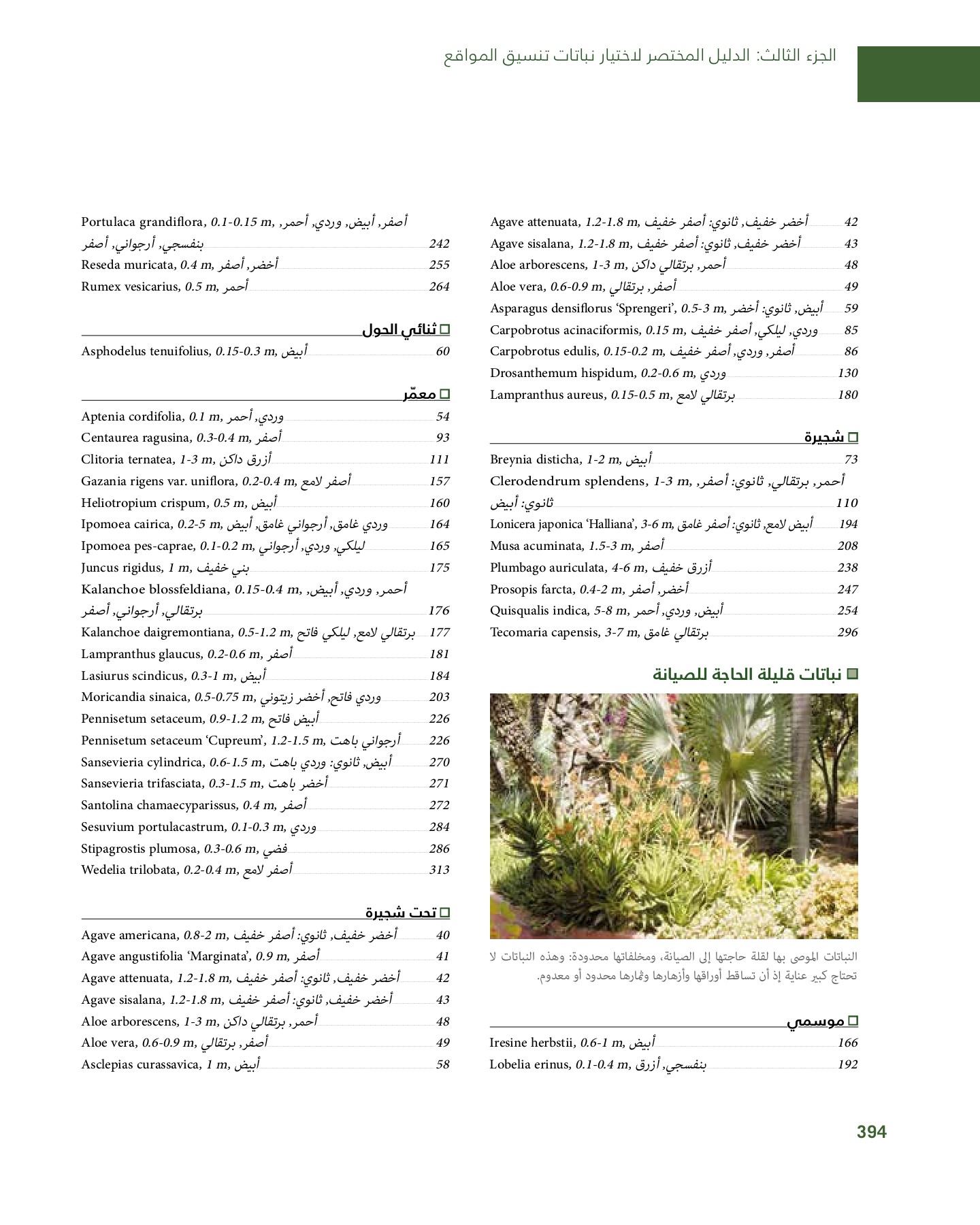 RiyadhPlantsManualAr Ci Oy الصفحة 395 PDF على الإنترنت