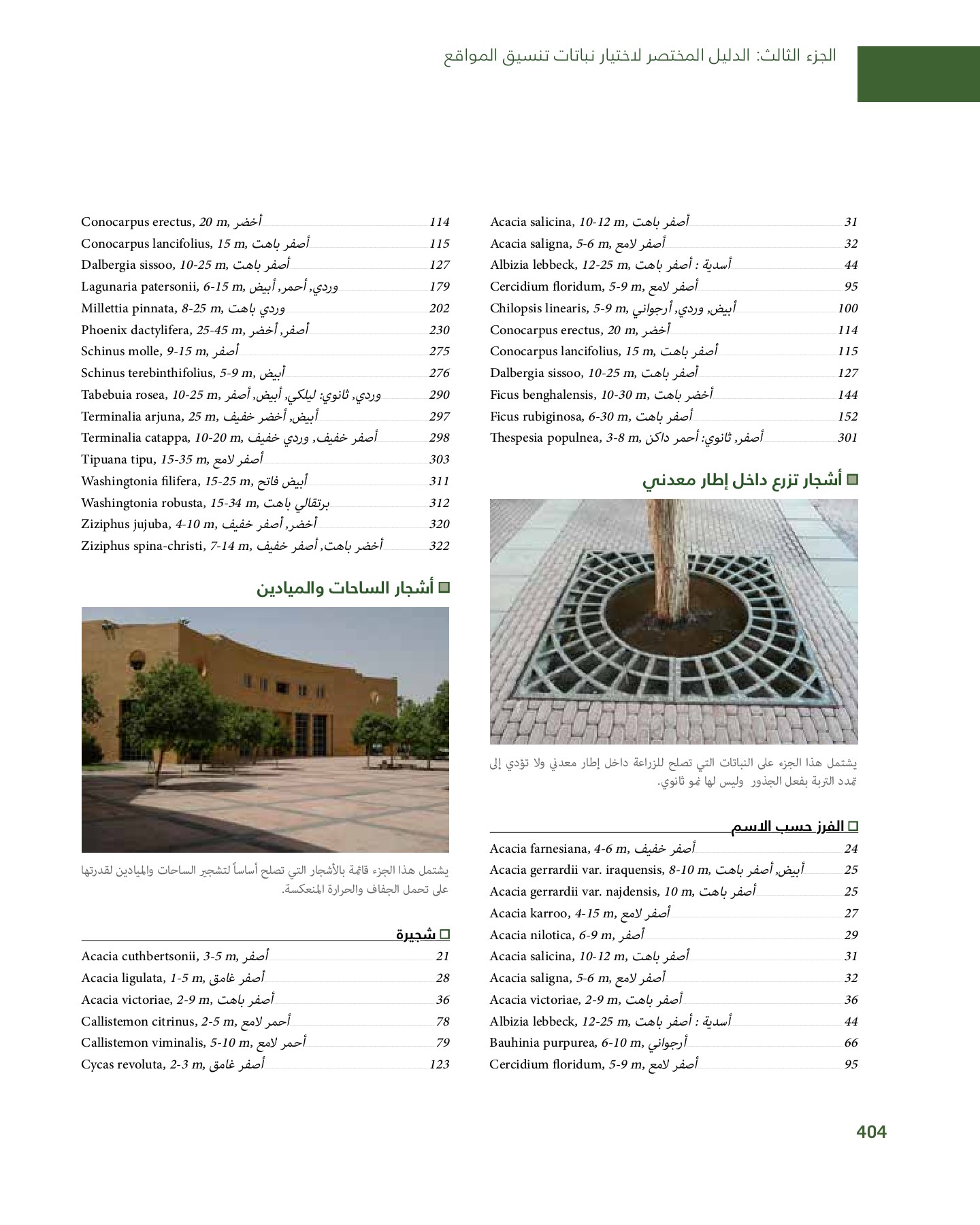 RiyadhPlantsManualAr Ci Oy الصفحة 405 PDF على الإنترنت