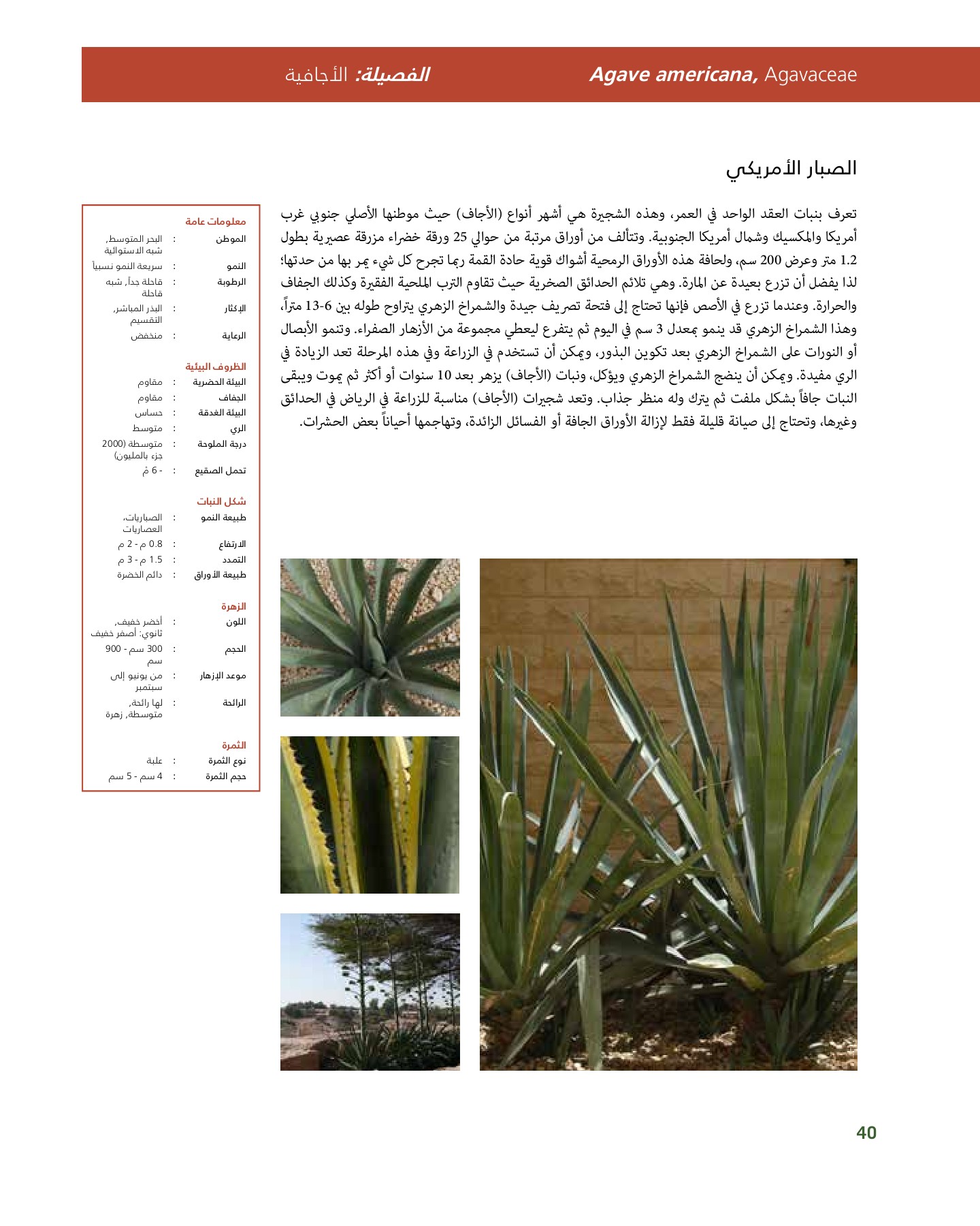 RiyadhPlantsManualAr Ci Oy الصفحة 41 PDF على الإنترنت