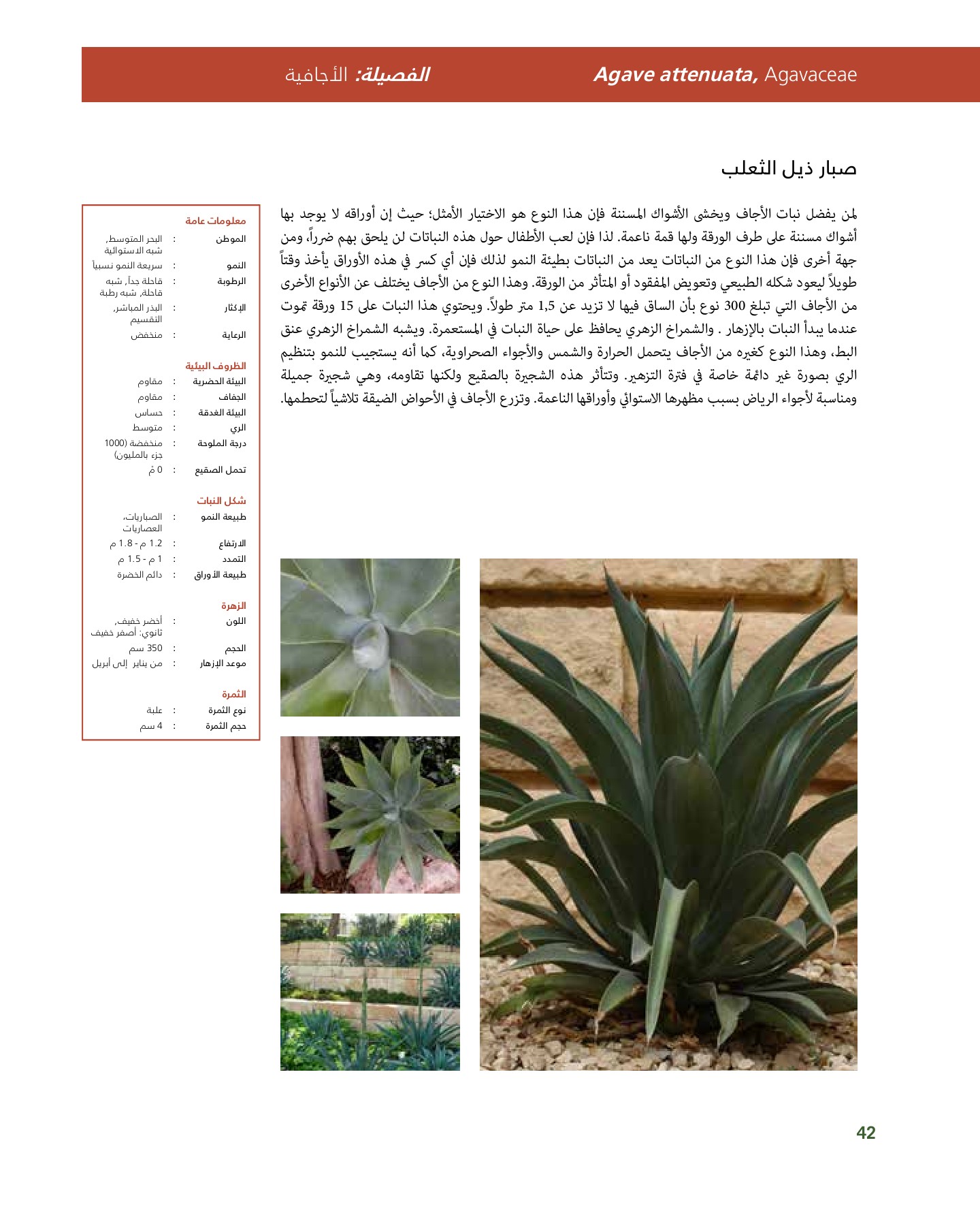 RiyadhPlantsManualAr Ci Oy الصفحة 43 PDF على الإنترنت