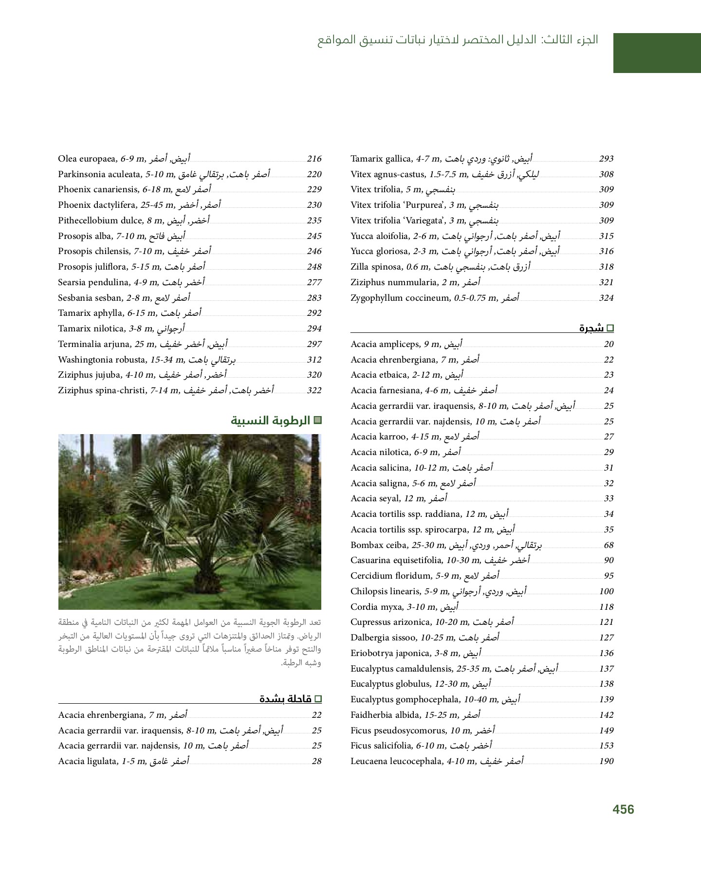 RiyadhPlantsManualAr Ci Oy الصفحة 457 PDF على الإنترنت