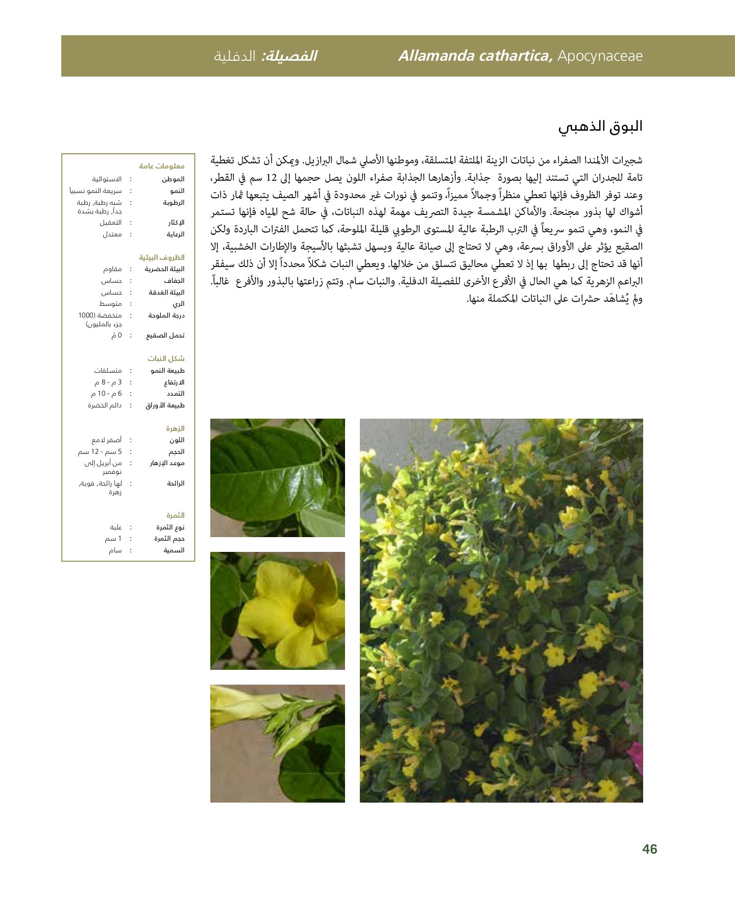 RiyadhPlantsManualAr Ci Oy الصفحة 47 PDF على الإنترنت