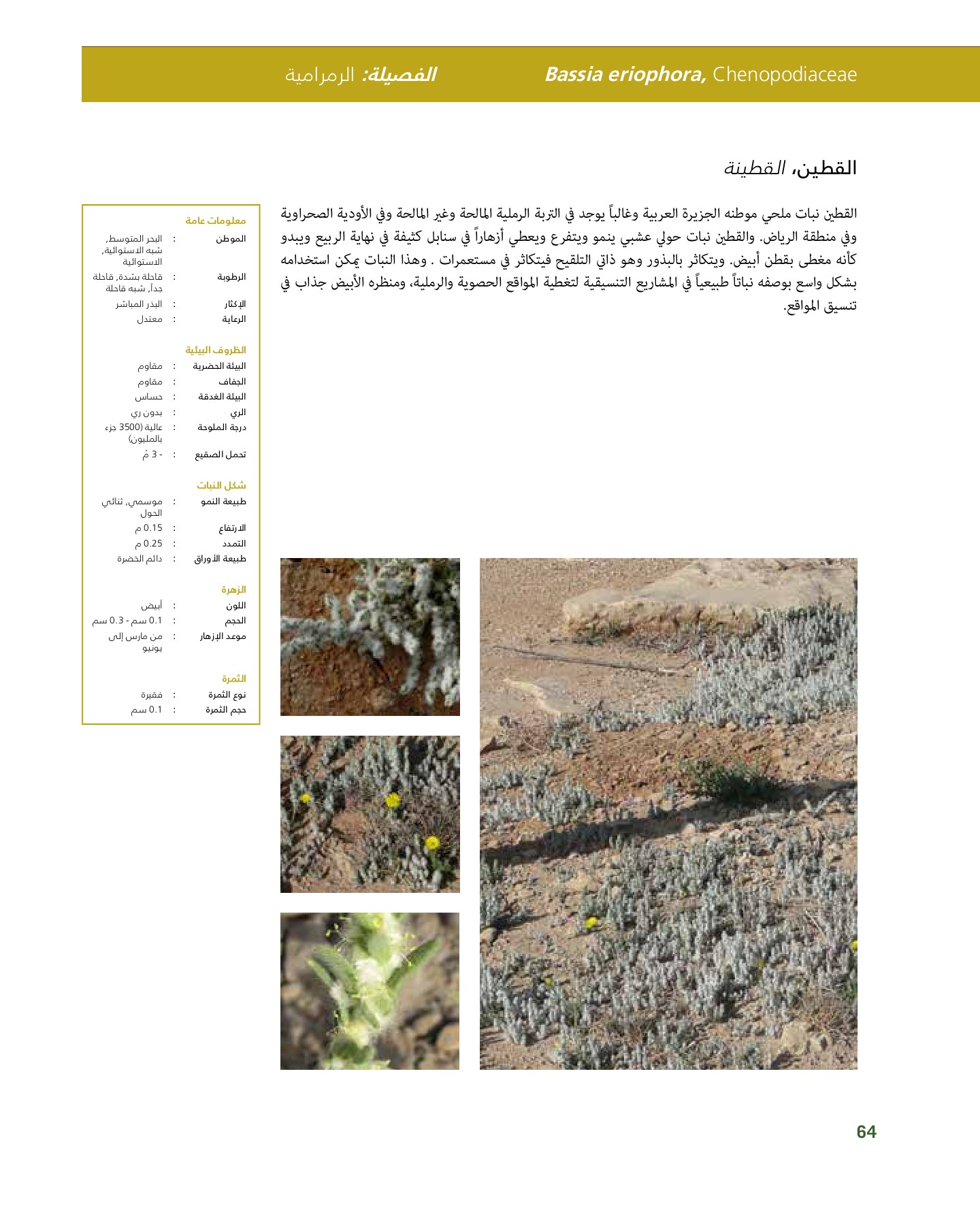 RiyadhPlantsManualAr Ci Oy الصفحة 65 PDF على الإنترنت