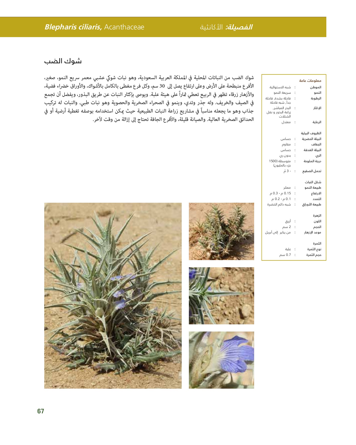 RiyadhPlantsManualAr Ci Oy الصفحة 68 PDF على الإنترنت