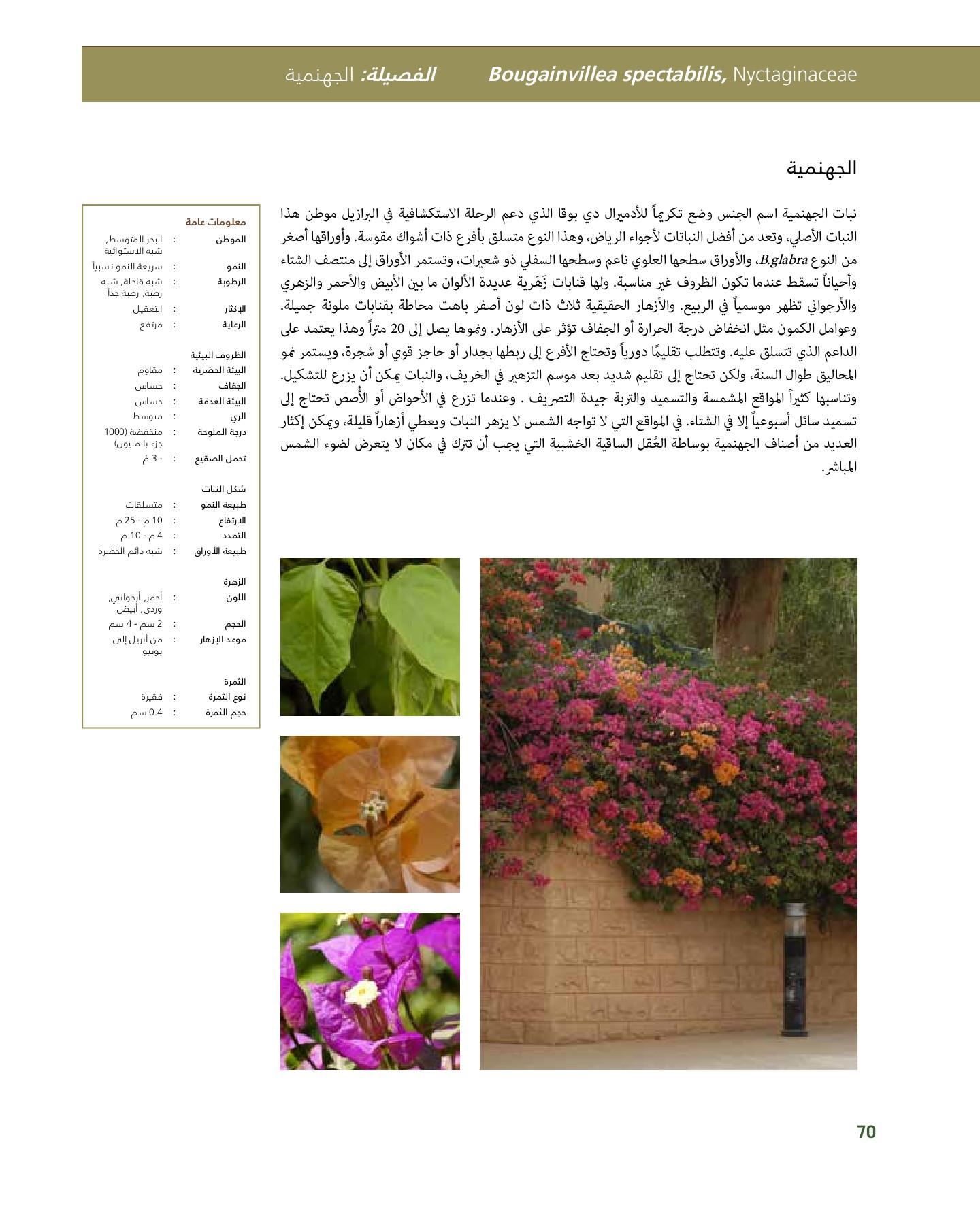 RiyadhPlantsManualAr Ci Oy الصفحة 71 PDF على الإنترنت