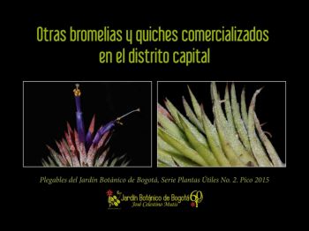 Plegables del Jardín Botánico de Bogotá, Serie Plantas Útiles No. 2. Pico 2015