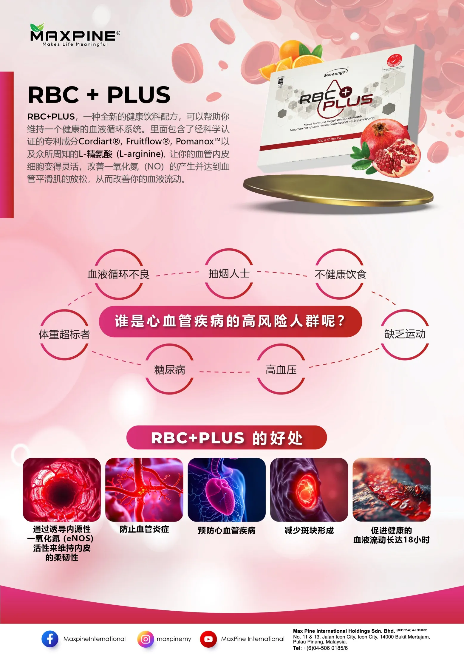 RBC + Plus leaflet 2024 CN
