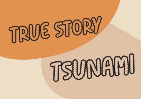 Picturebookexperience