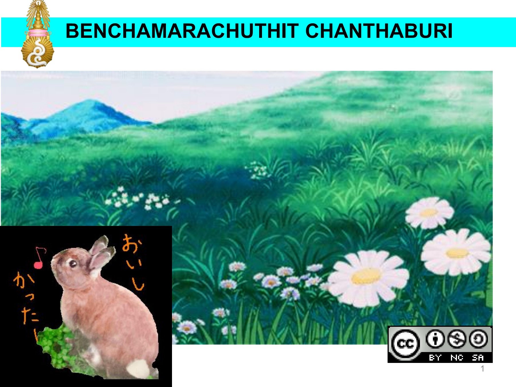 galvanic cell cheera2008 पेज पर 1 52 ऑनलाइन पीडीएफ फ्लिप करा