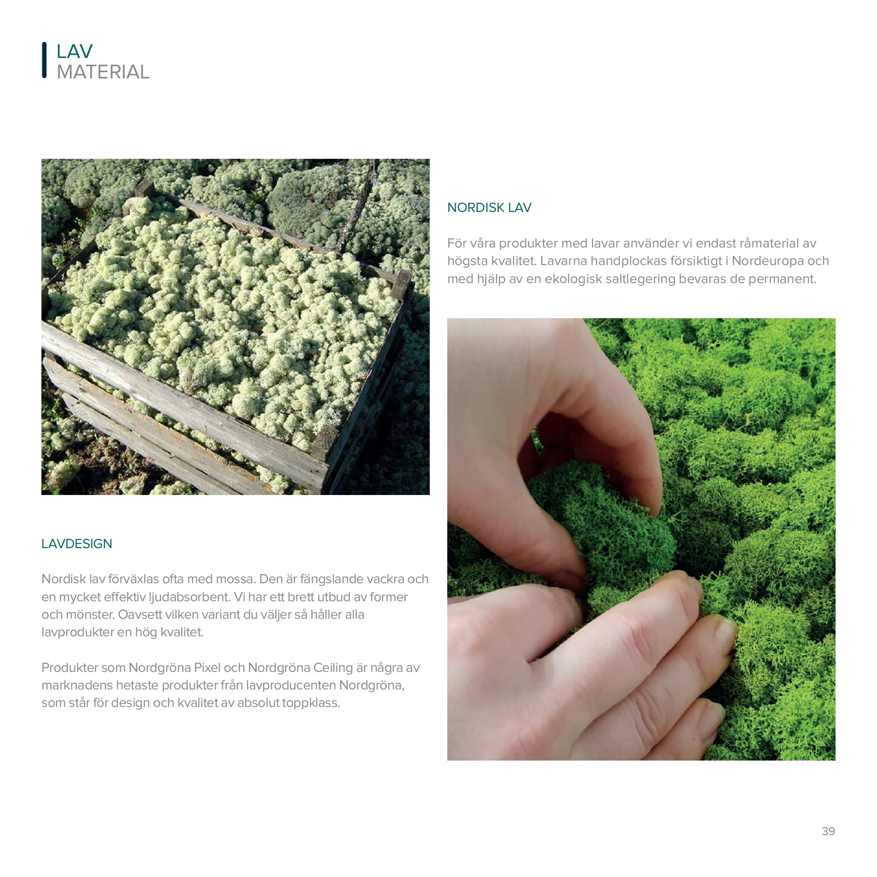 NGD Katalog 2022 rasmus Page 41 Flip PDF Online PubHTML5