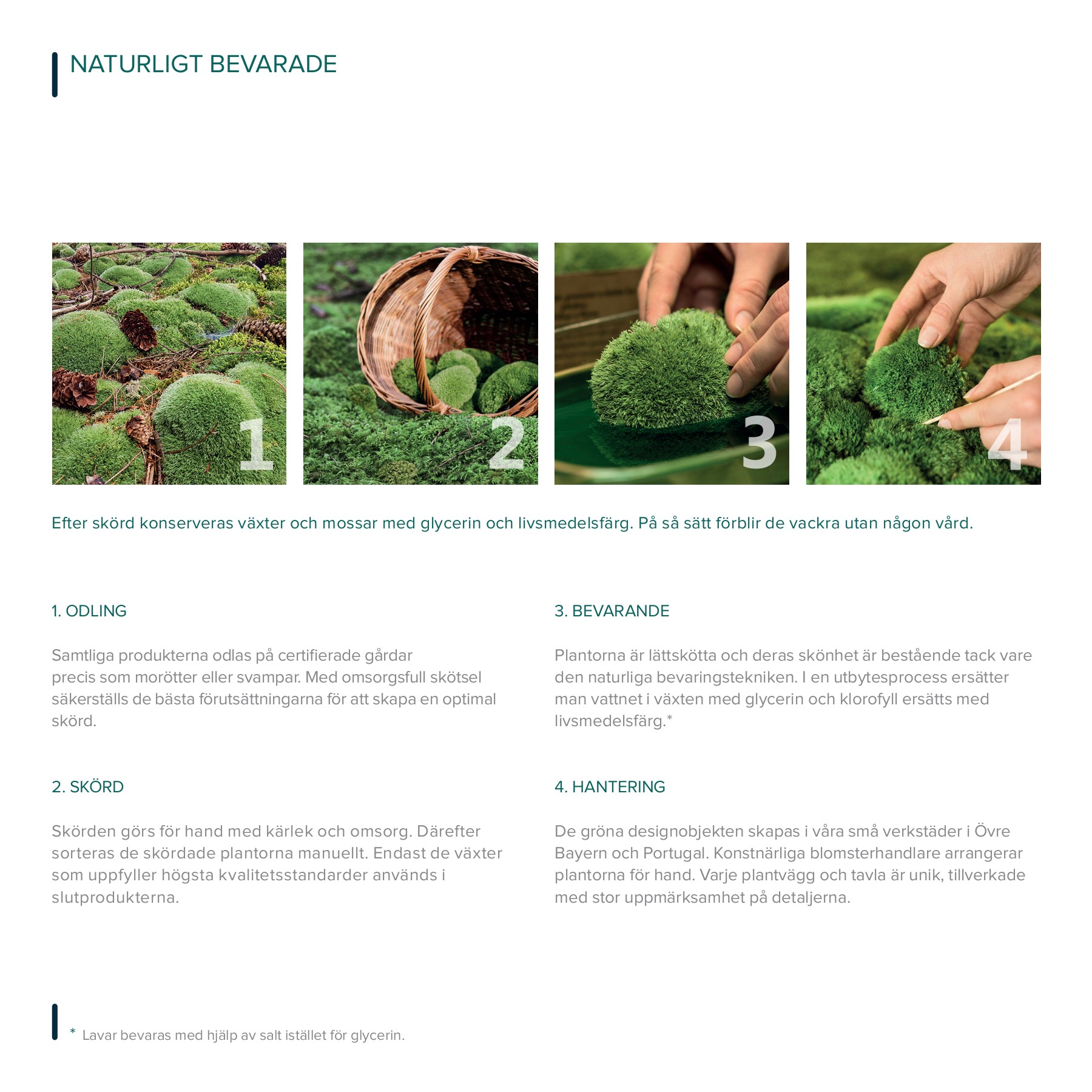 NGD Katalog 2022 rasmus Page 66 Flip PDF Online PubHTML5