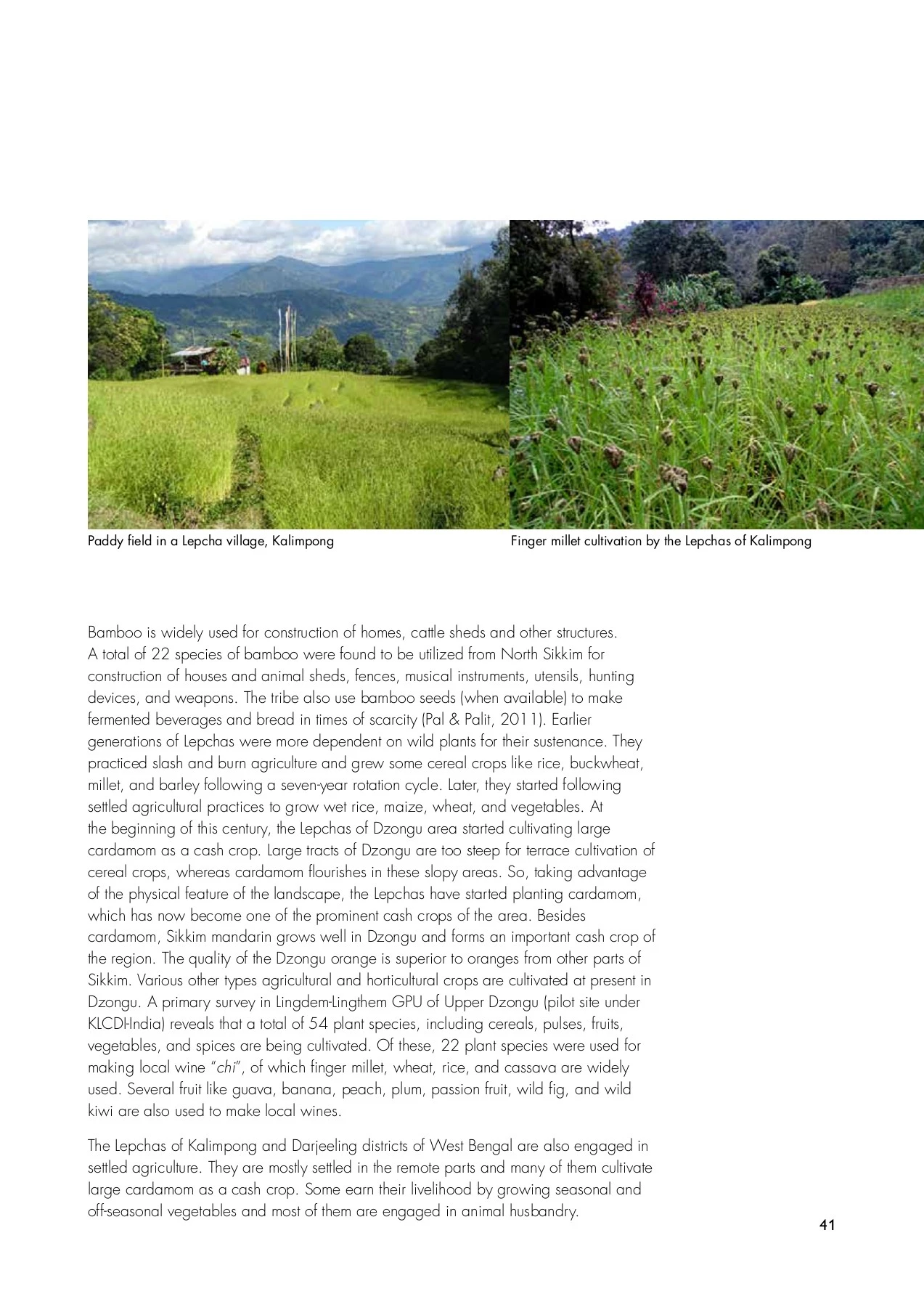 Lepcha Map Lepcha Document - #APYF Aseesh Pandey India - Page 51 | Flip PDF Online ...