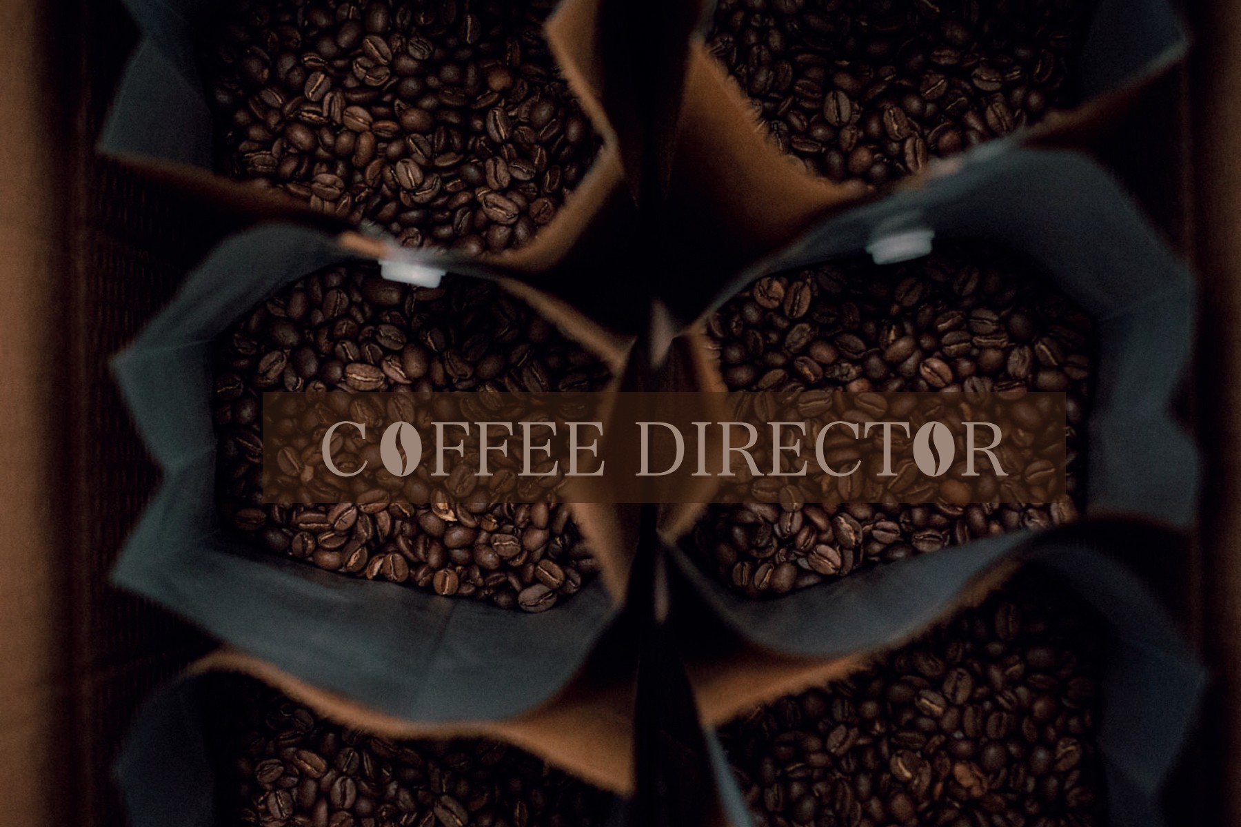 coffee director katalog Gönül Öztürk Page 1 14 Flip PDF Online