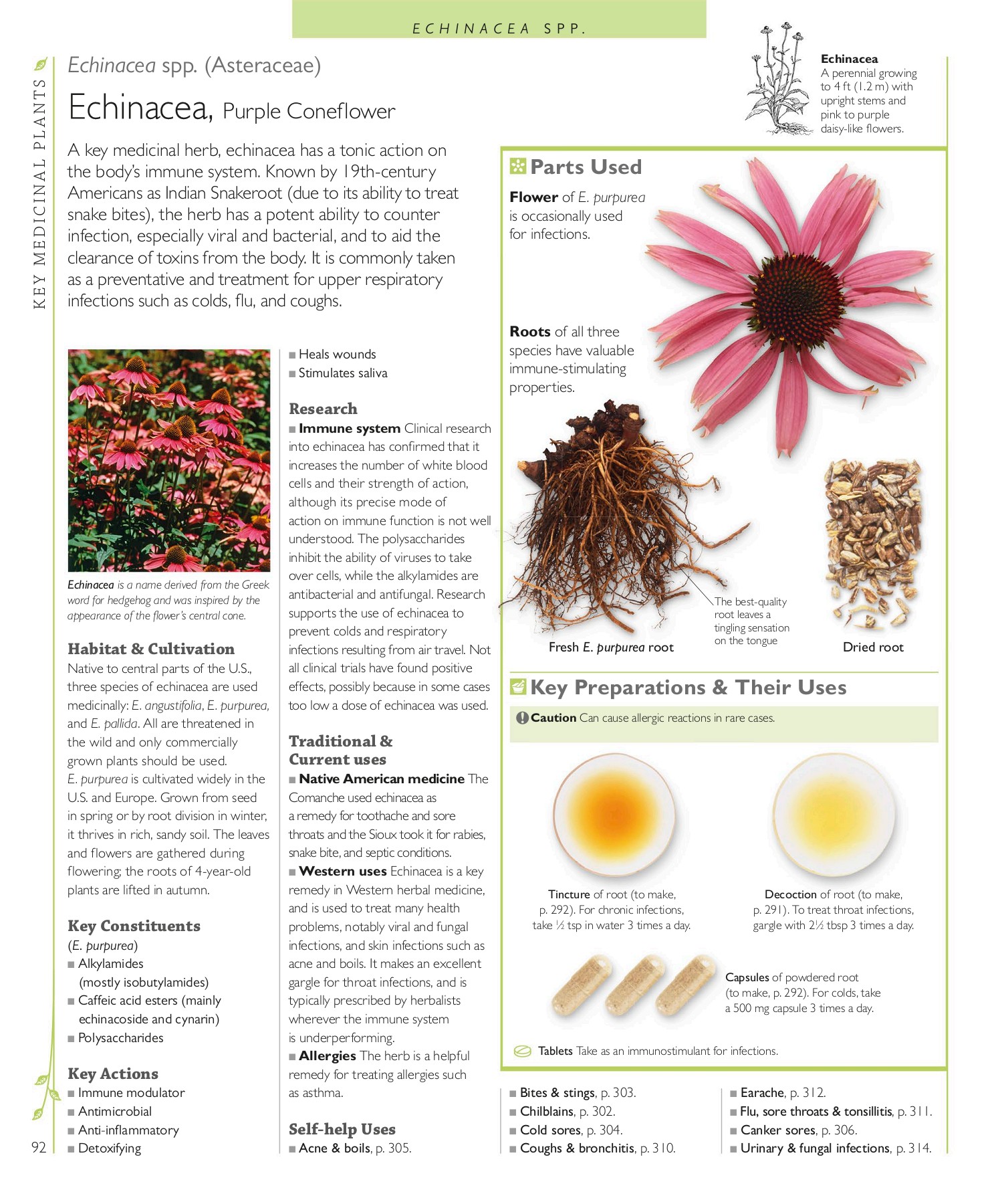 Encyclopedia of Herbal Medicine THE MANTHAN SCHOOL Page 94 Flip PDF Online PubHTML5