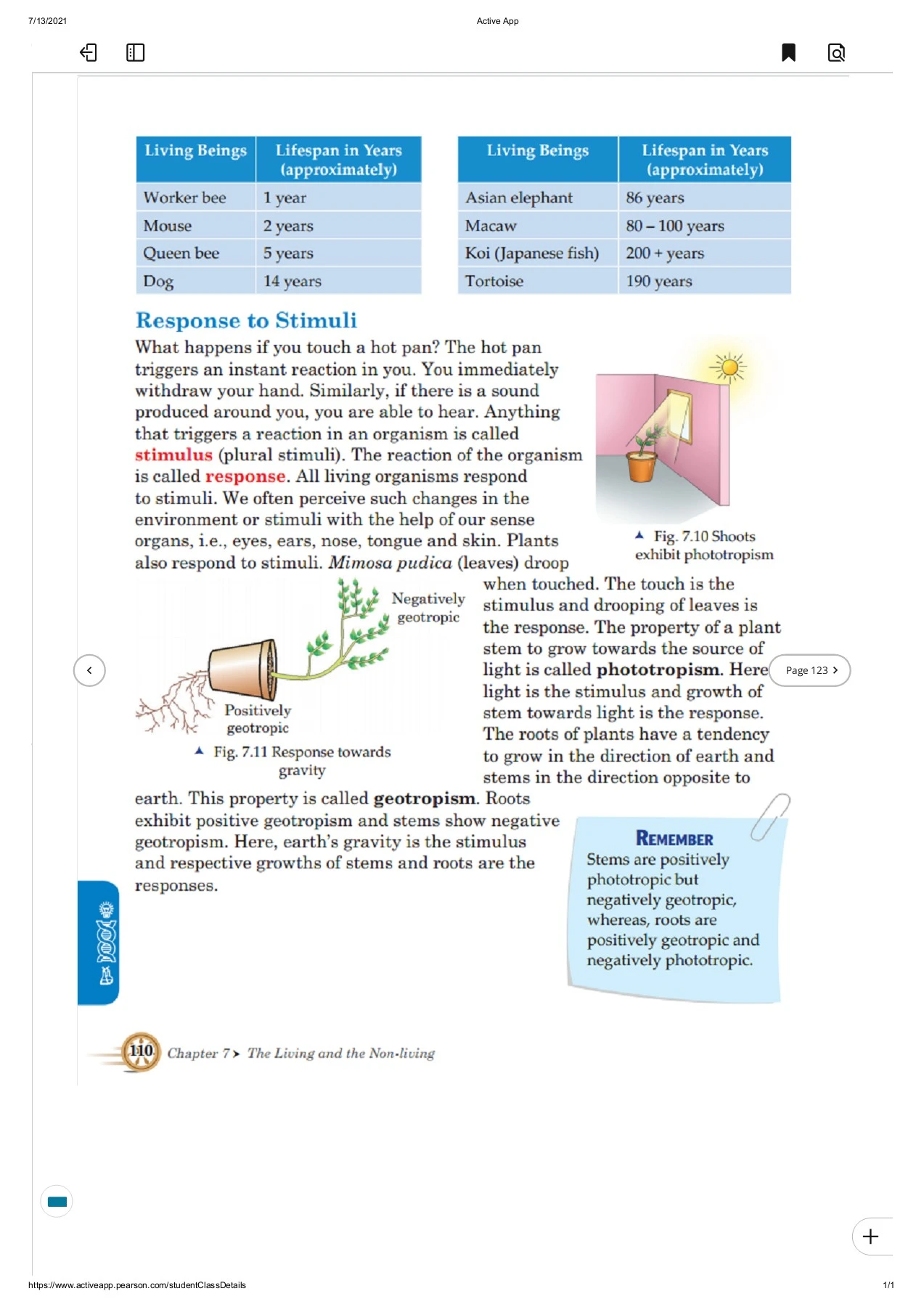 Universal Science Grade-6 - THE MANTHAN SCHOOL - Page 122 | Flip PDF ...