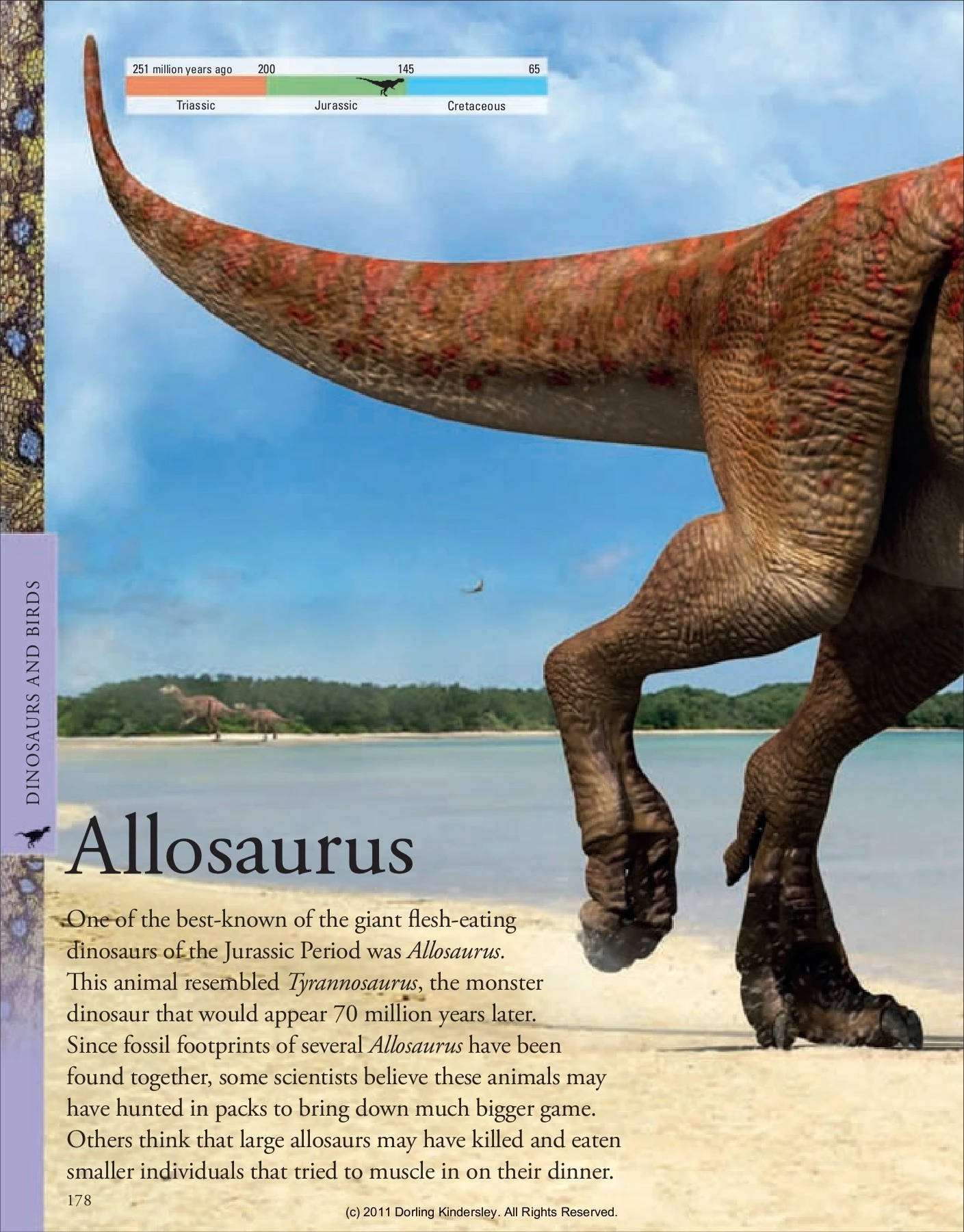 Dinosaurs A Visual Encyclopedia - THE MANTHAN SCHOOL - Page 177