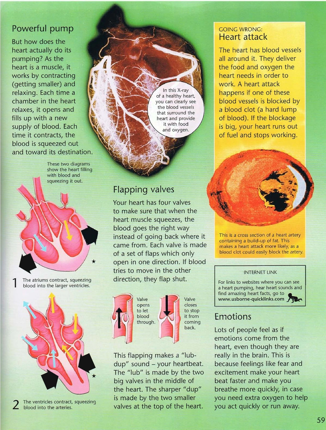 The Usborne Complete Book of the Human Body_clone - THE MANTHAN SCHOOL ...