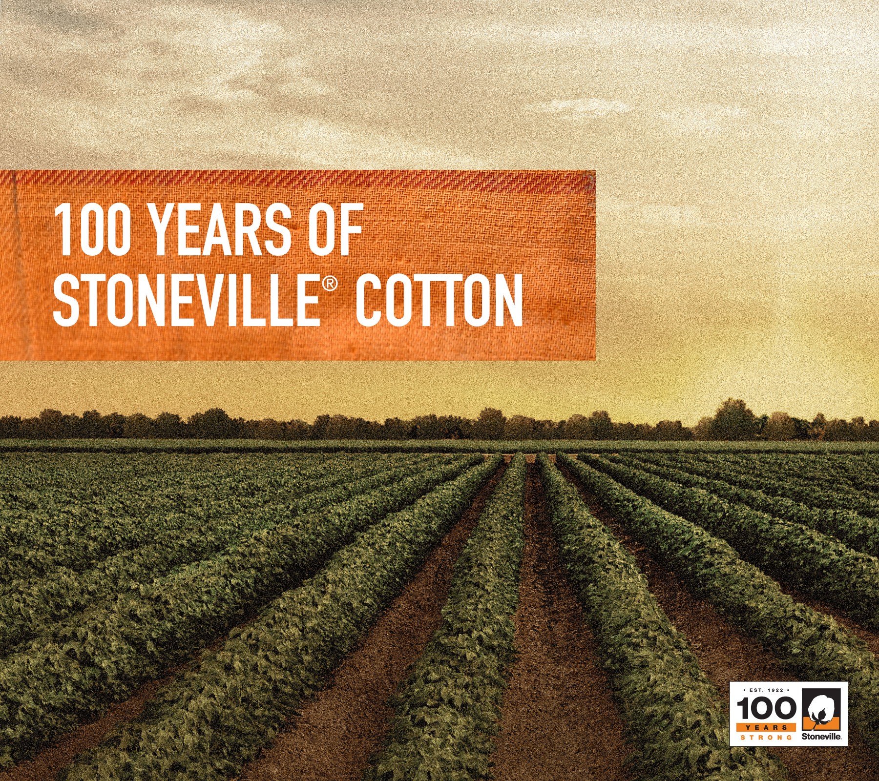 BASF Stoneville 100 Look Book leandra.grissom Page 1 13 Flip