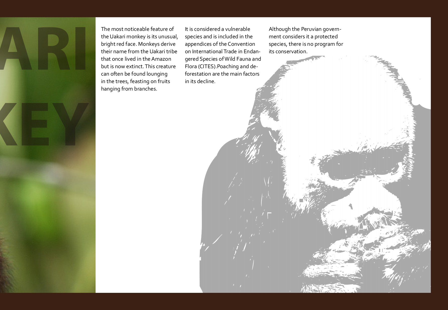 Coffee table book Amazon Wildlife Gauri Deshmukh Page 19 Flip