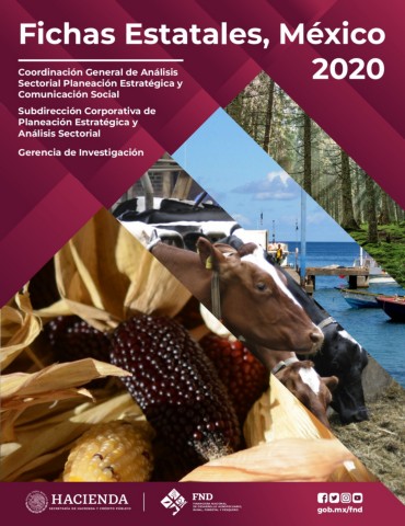 FichasEstatalesMéxico2020