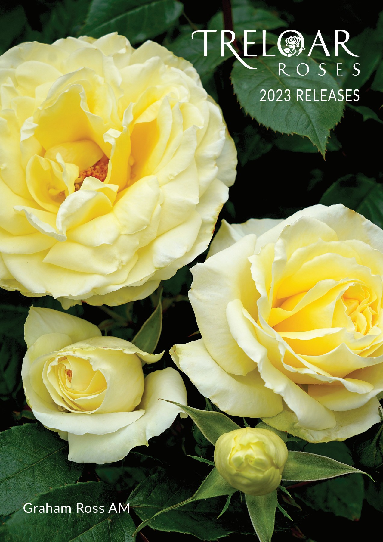 2023 Treloar Roses Licensed Grower Brochure Treloar Roses Page 1