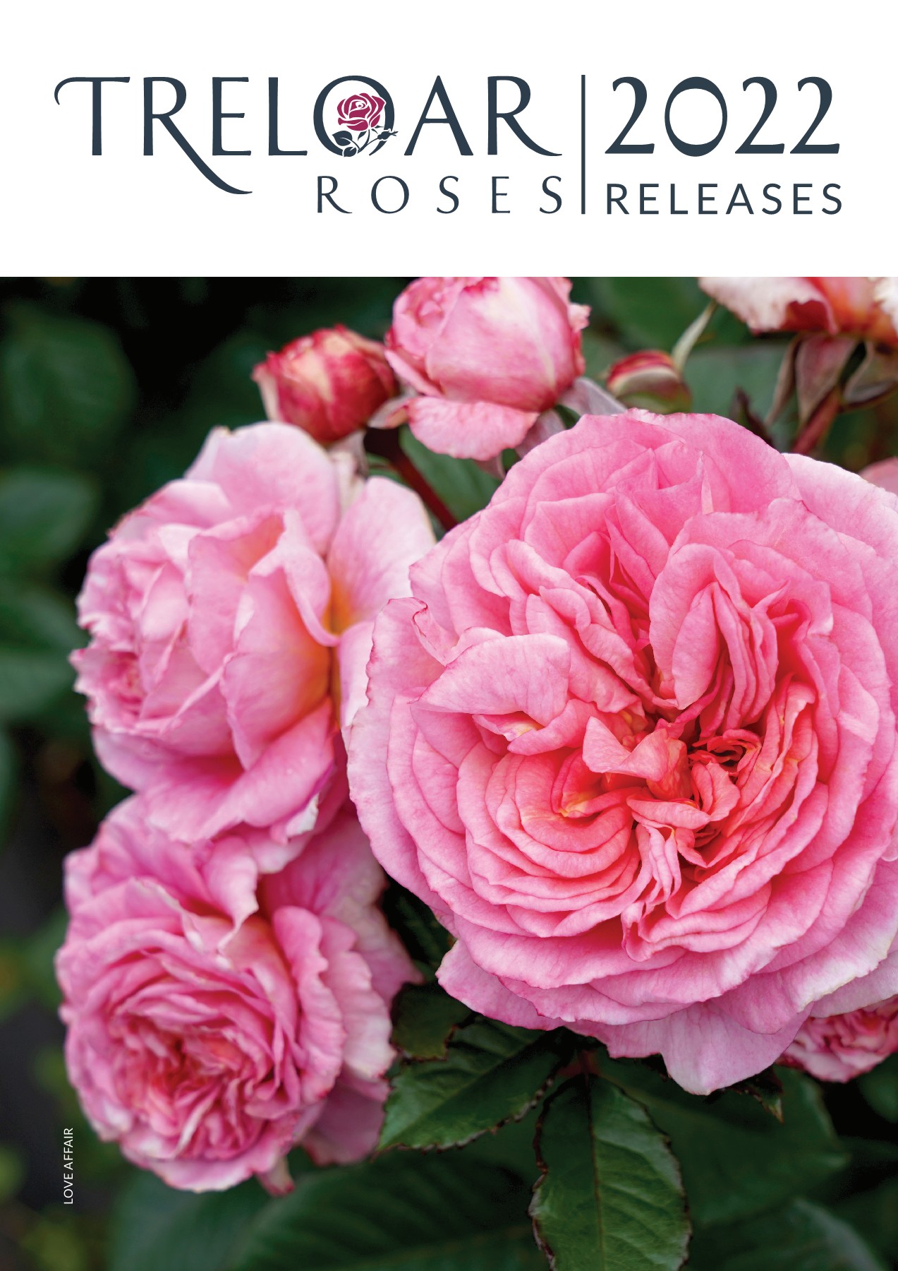 2022 Treloar Roses New Release Information for Licensed Growers