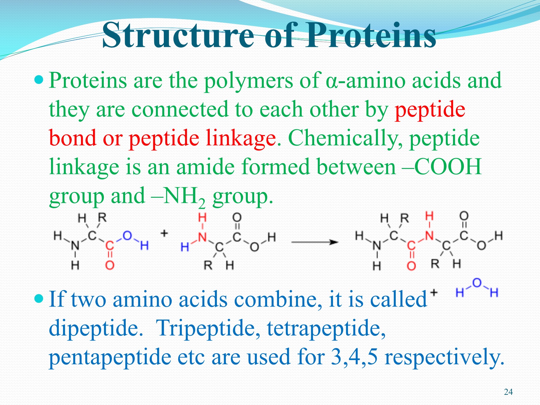 14Biomolecules ritapuri.aps Page 24 Flip PDF Online PubHTML5
