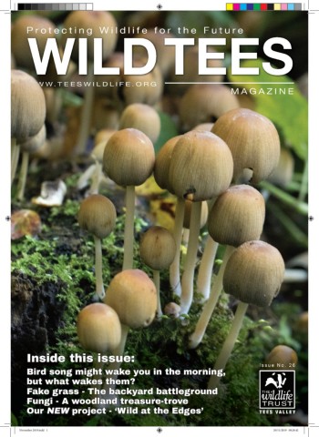 LatestinformationfromTeesValleyWildlifrTrust