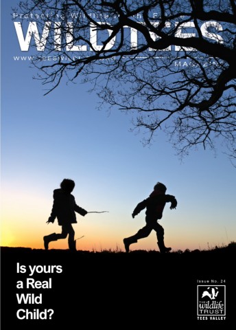 LatestnewsfromtheTeesValleyWildlifeTrust