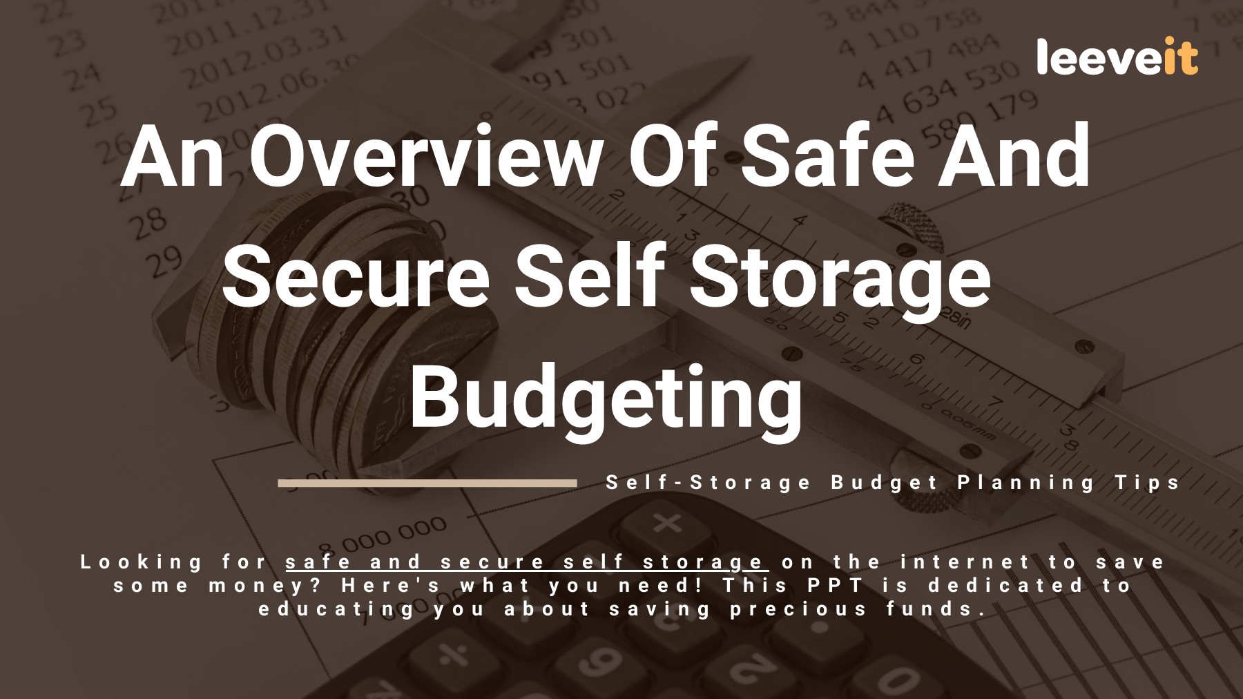 An Overview Of Safe And Secure Self Storage Budgeting Leeveit
