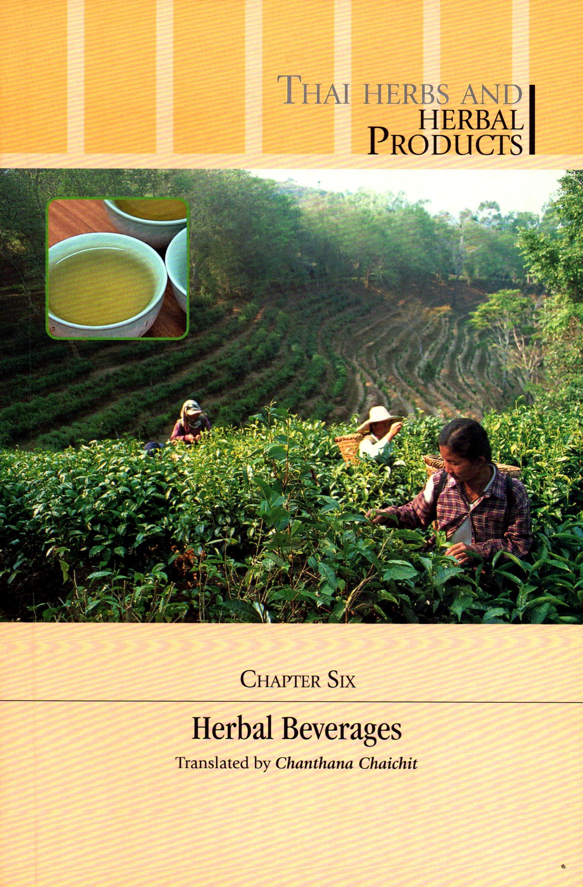 Thai Herbs and Herbal Products ห้องสมุดเฉลิมพระเกียรติ ๕๐ พรรษา อำเภอ