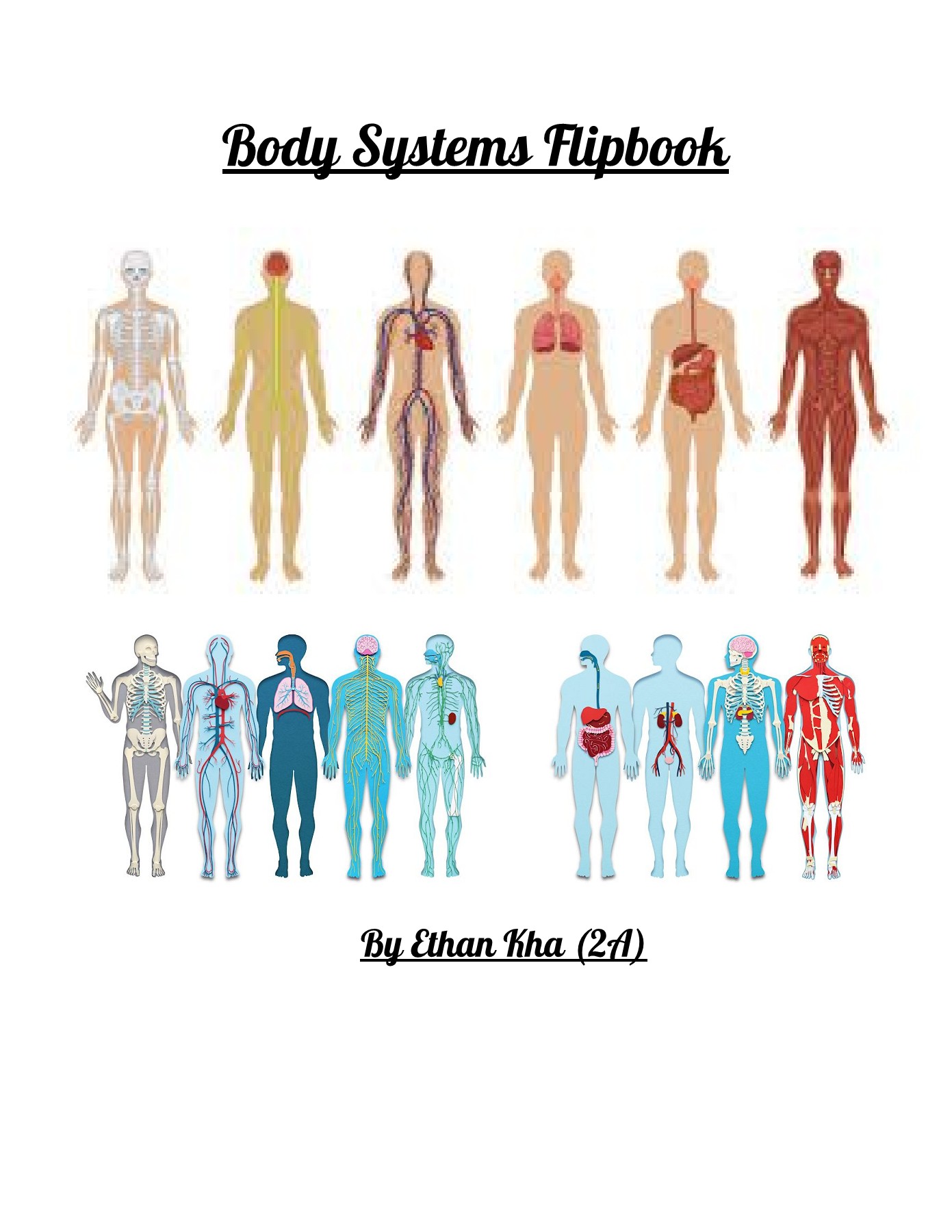 Body System Flipbook Ethan Kha, 2A Ethan Kha Page 1 11 Flip