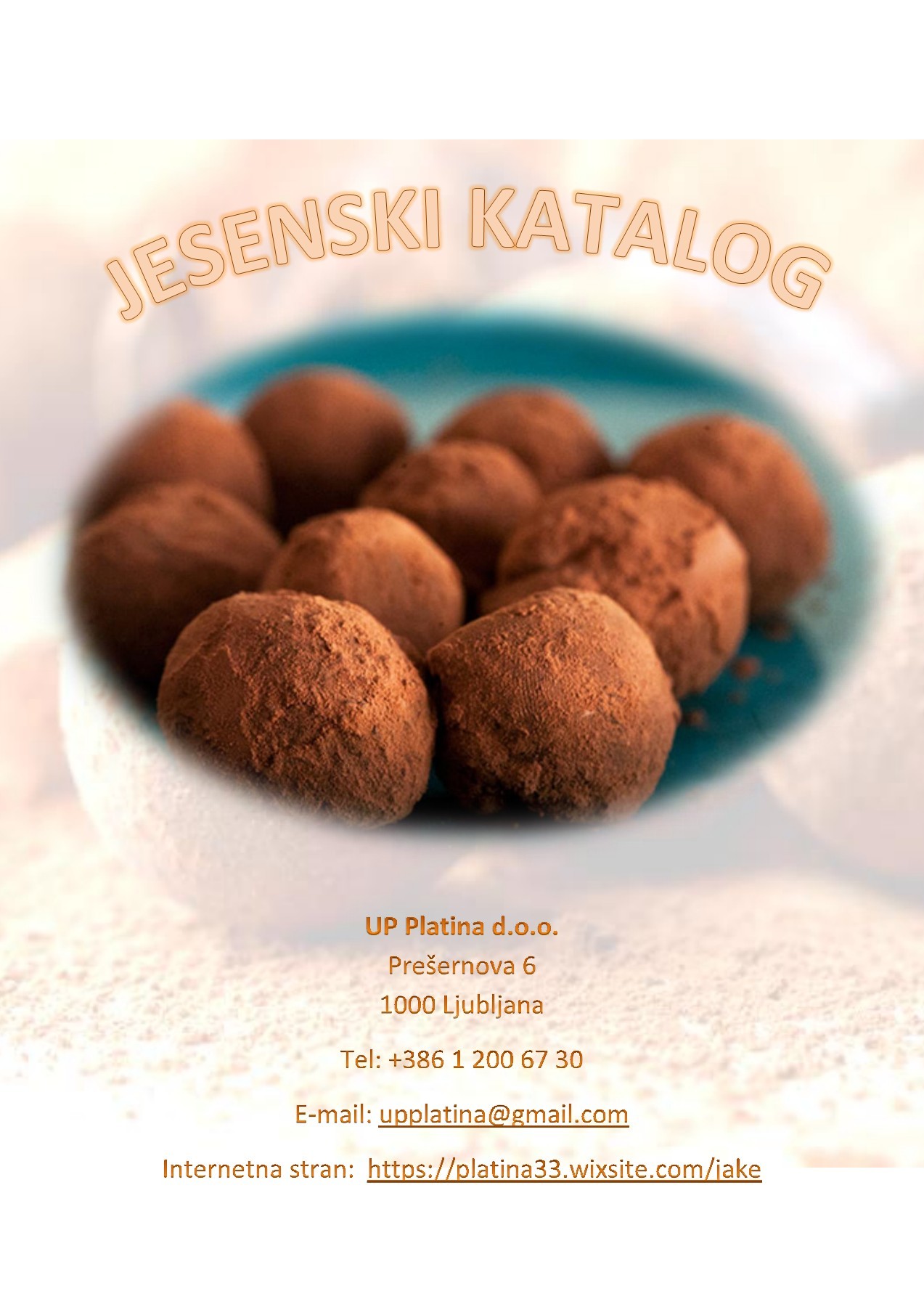 KATALOG (1) proteam.slo Strani 1 13 Obračanje strani na spletu