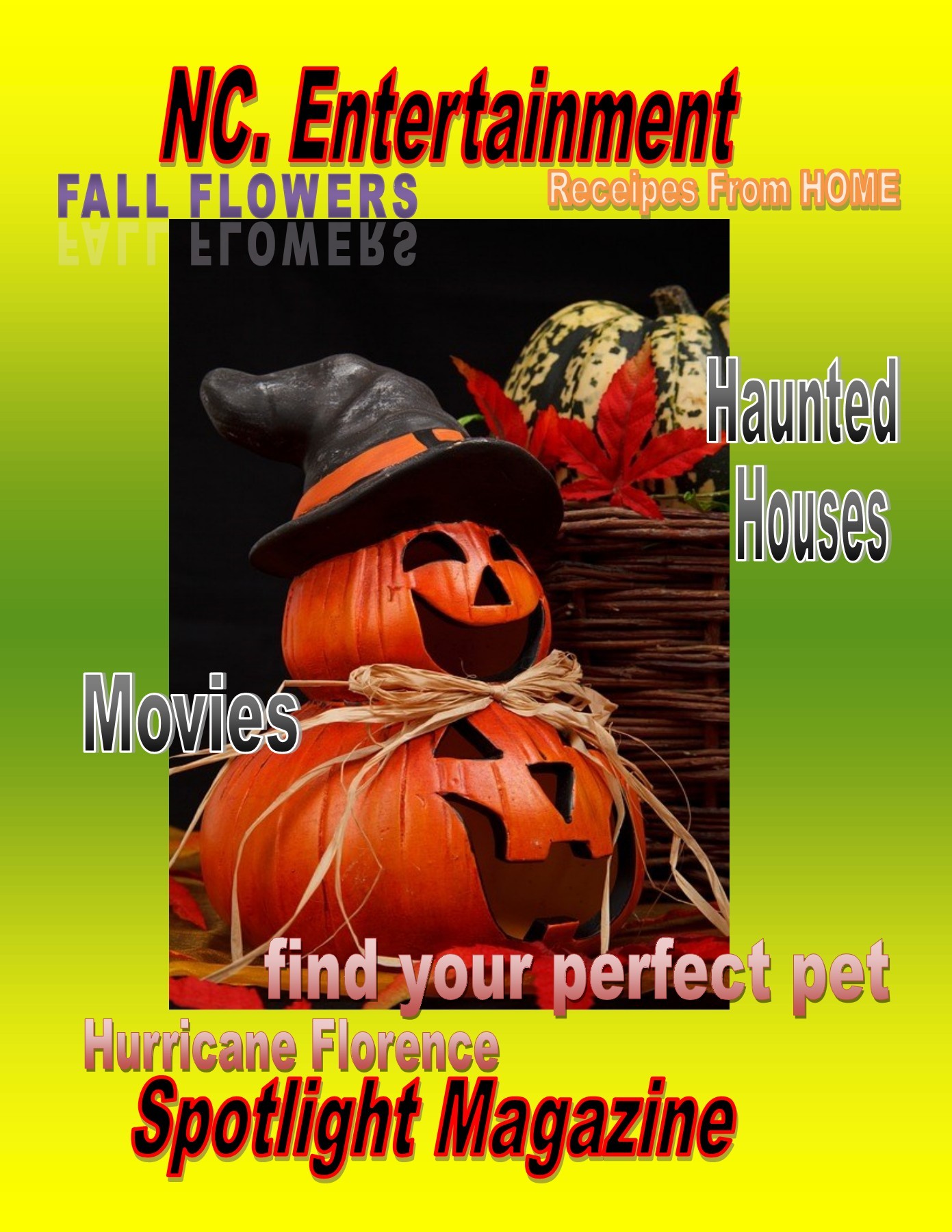 N.C. Entertainment Spotlight Magazine lynndunn1201 Page 1 35