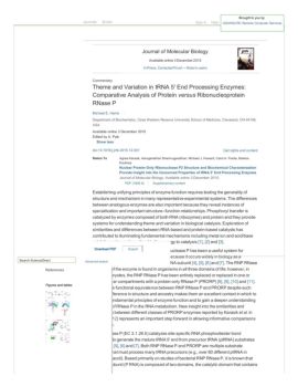 Theme and Variation in tRNA 5′ End Proc...otein versus Ribonucleoprotein RNase P