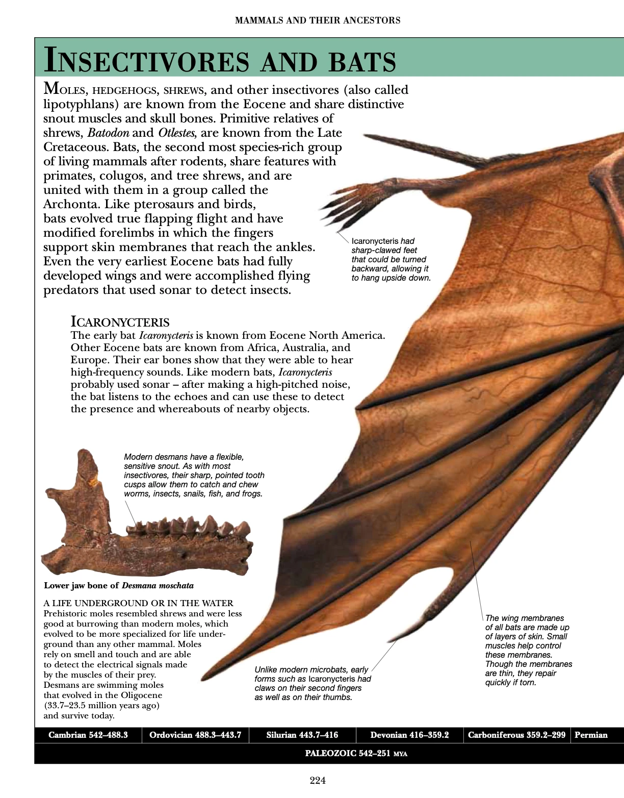 DK Encyclopedia of Dinosaurs & Prehistoric Life - VPSI Library - Page ...