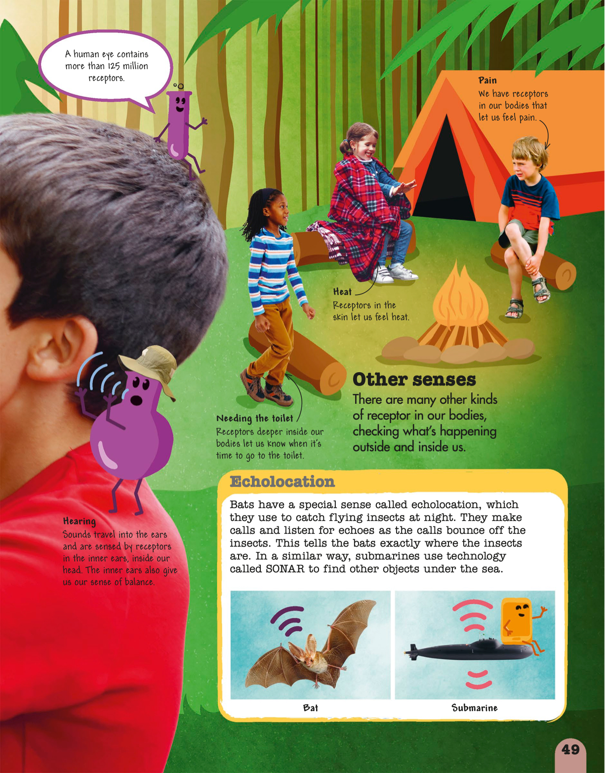 DK Science Squad VPSI Library Page 51 Flip PDF Online PubHTML5