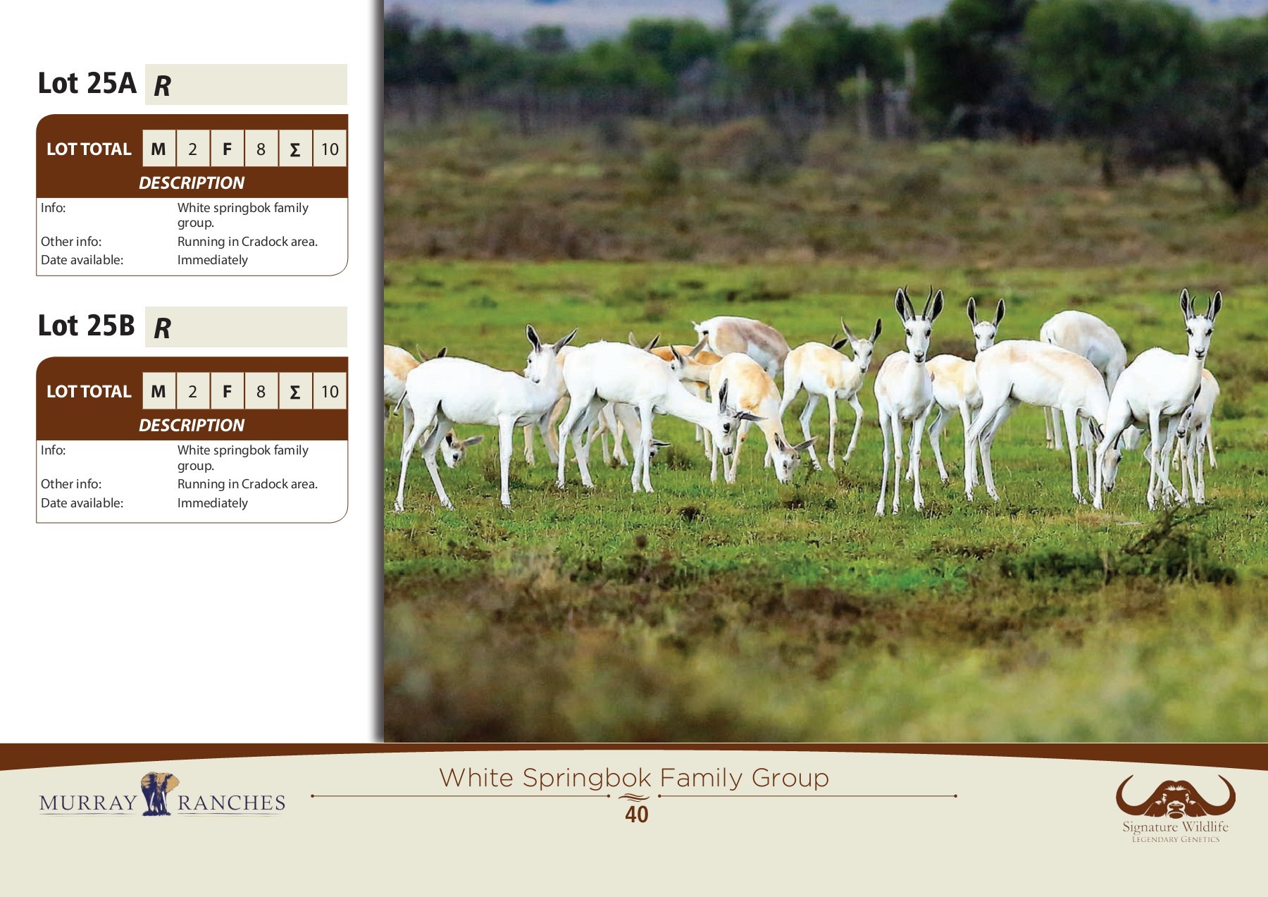 Signature Catalogue Online Ebook Jacques Page 40 Flip PDF Online