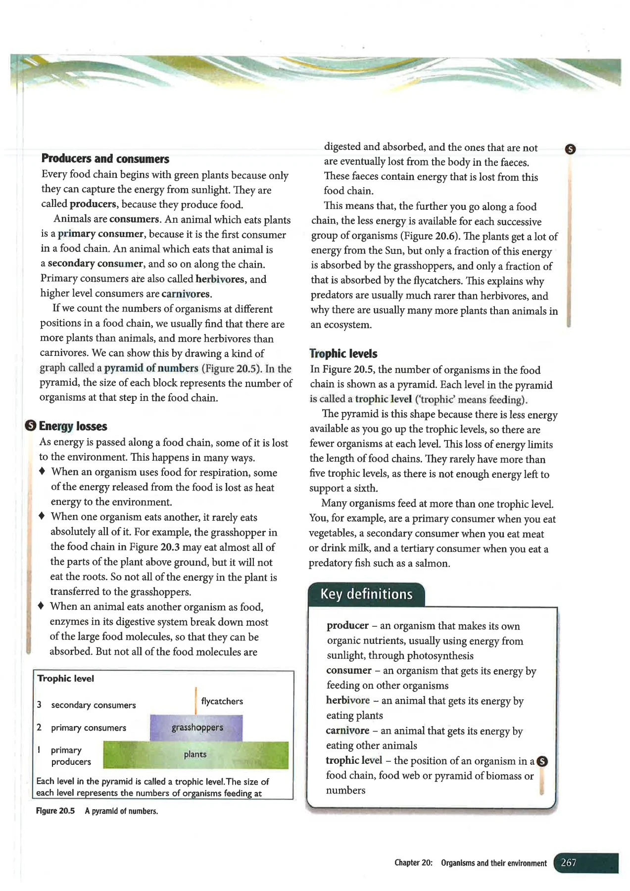 Biology Coursebook - montserrat26batista - Page 271 | Flip PDF Online ...