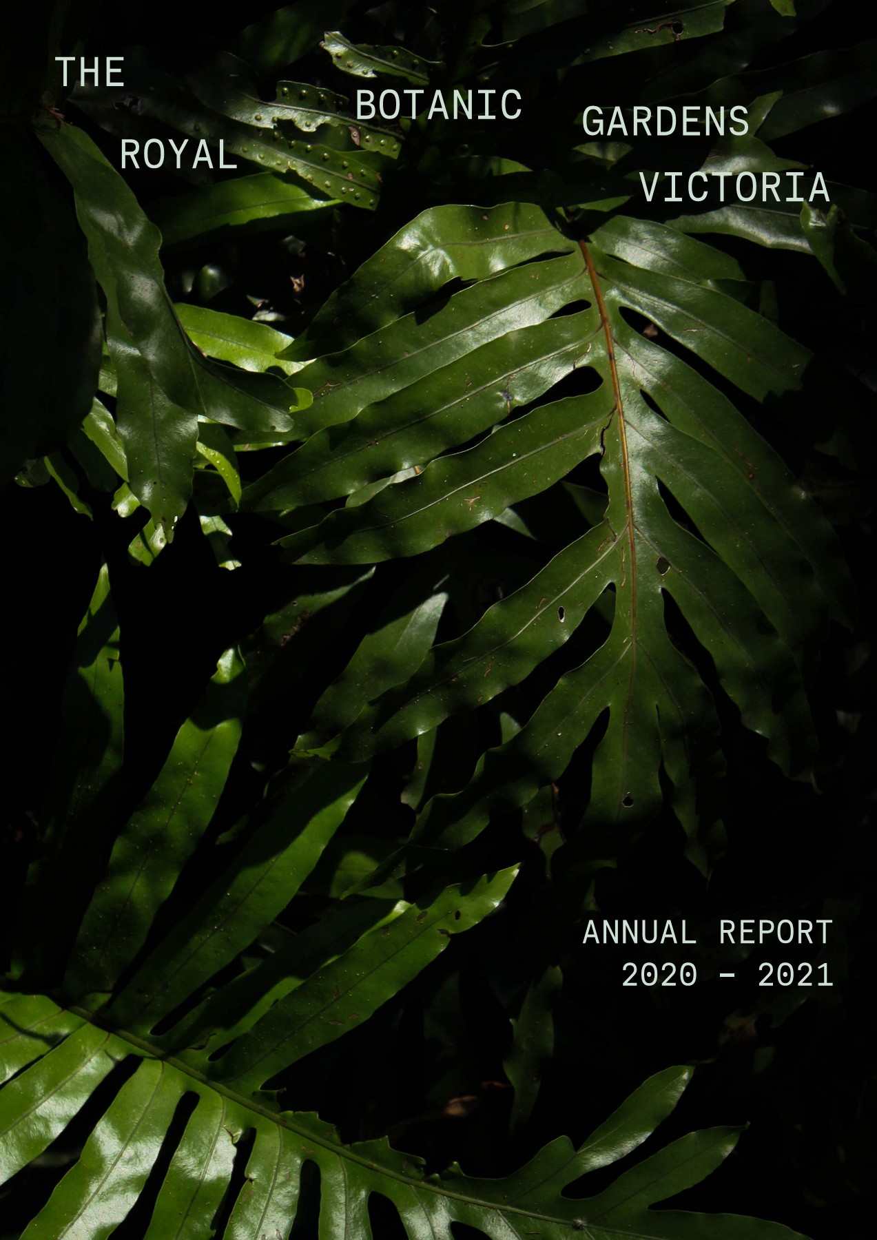 Royal Botanic Gardens Annual Report 20/21 tillysexton Page 1 28