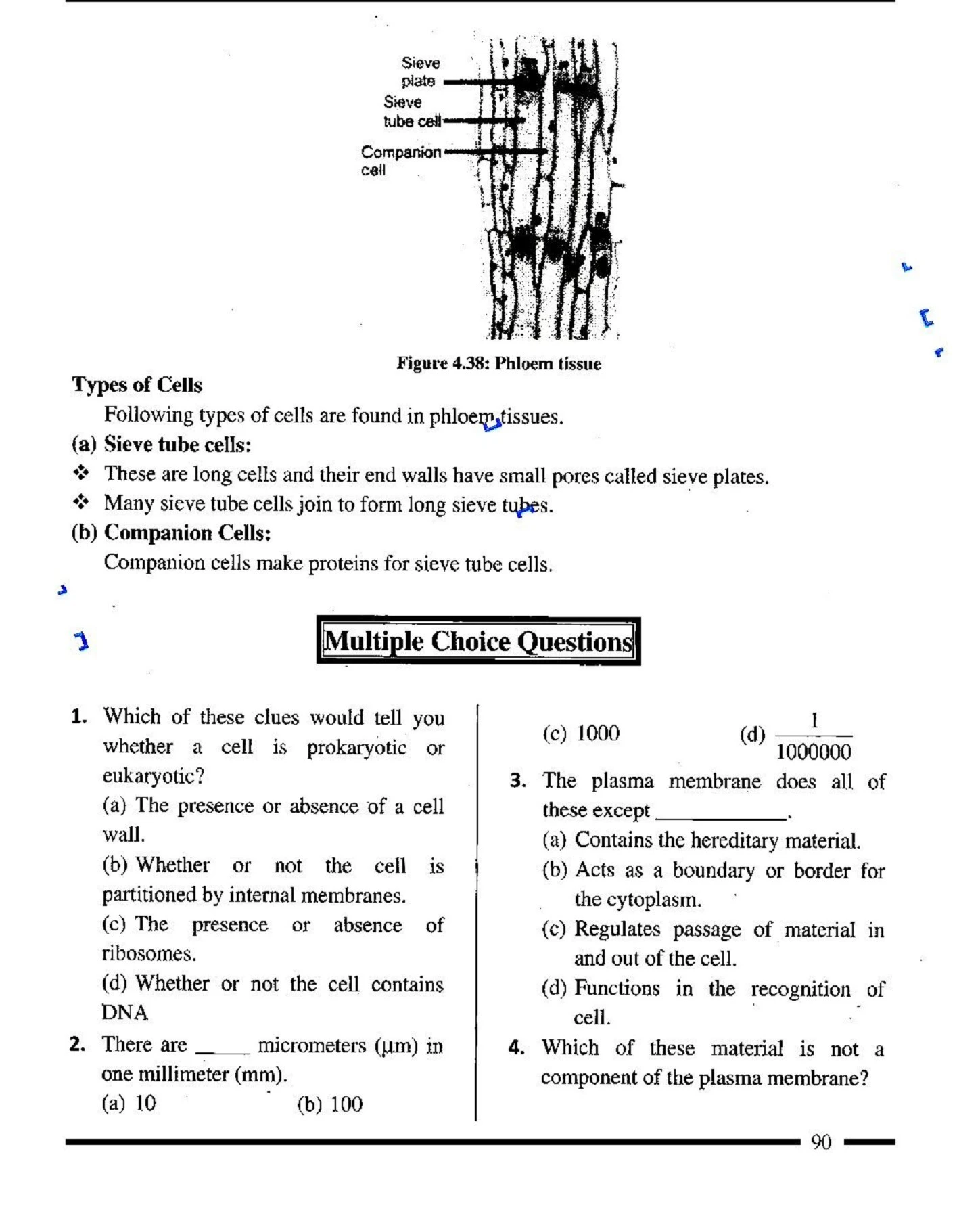 Class 9 Biology Notes - haseebshafiq28 - Page 90 | Flip PDF Online ...