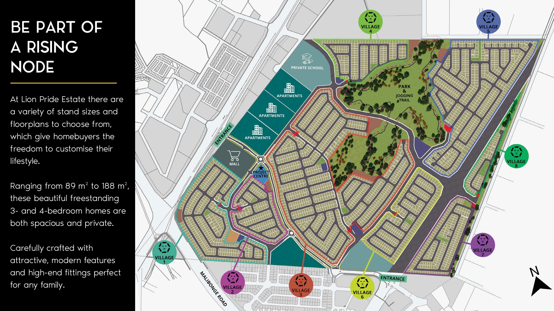 Lion Pride brochure 2021 nthabiseng Page 5 Flip PDF Online PubHTML5