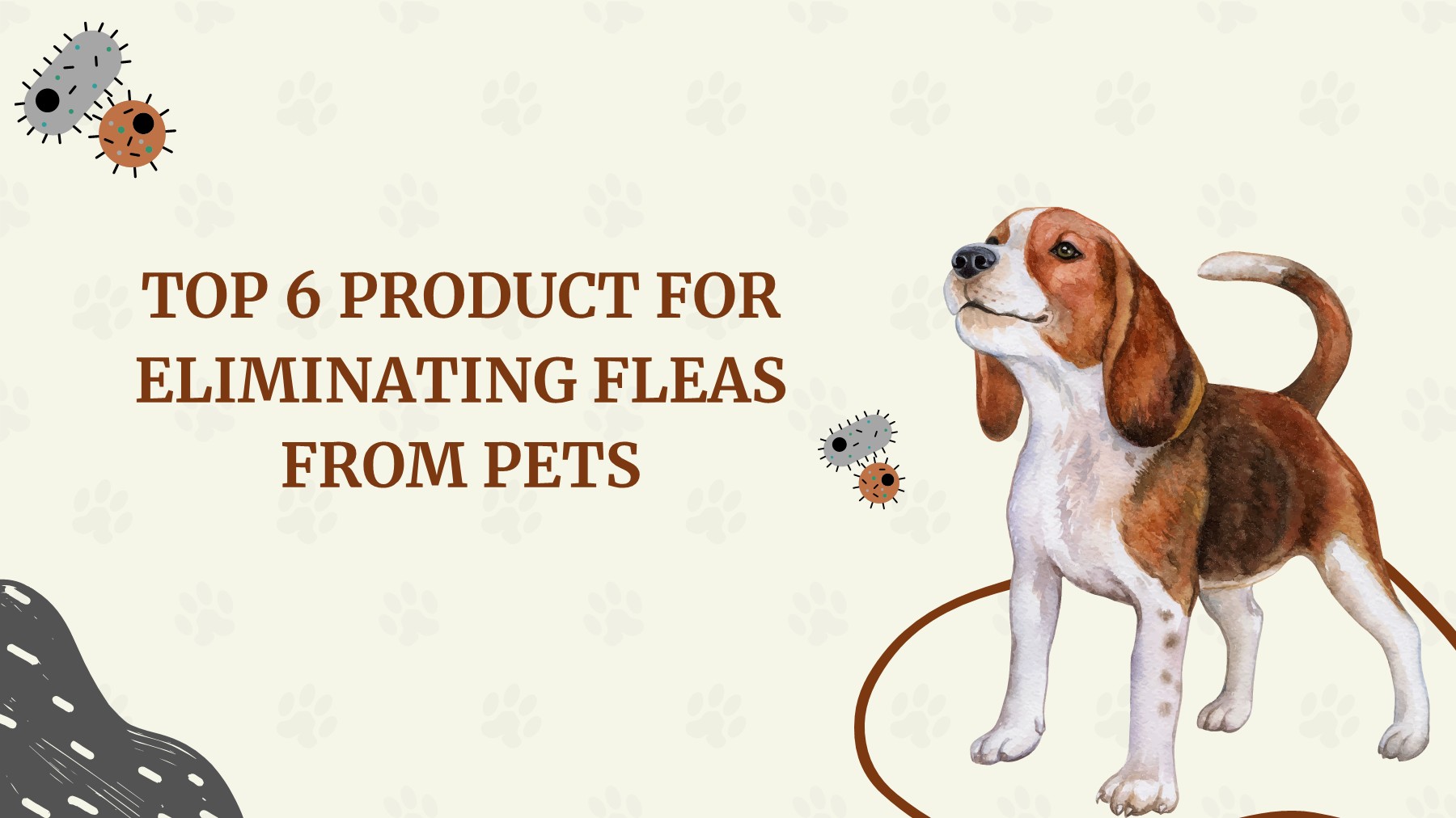 Top 6 Product For Eliminating Fleas From Pets Canada Vet Express