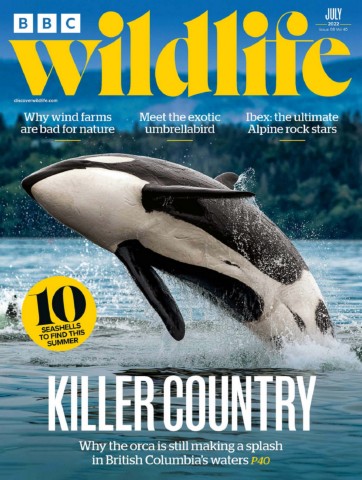 bbcwildlifevol40