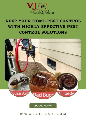 Keep Your Home Pest Control with Highly Effective Pest Control ...