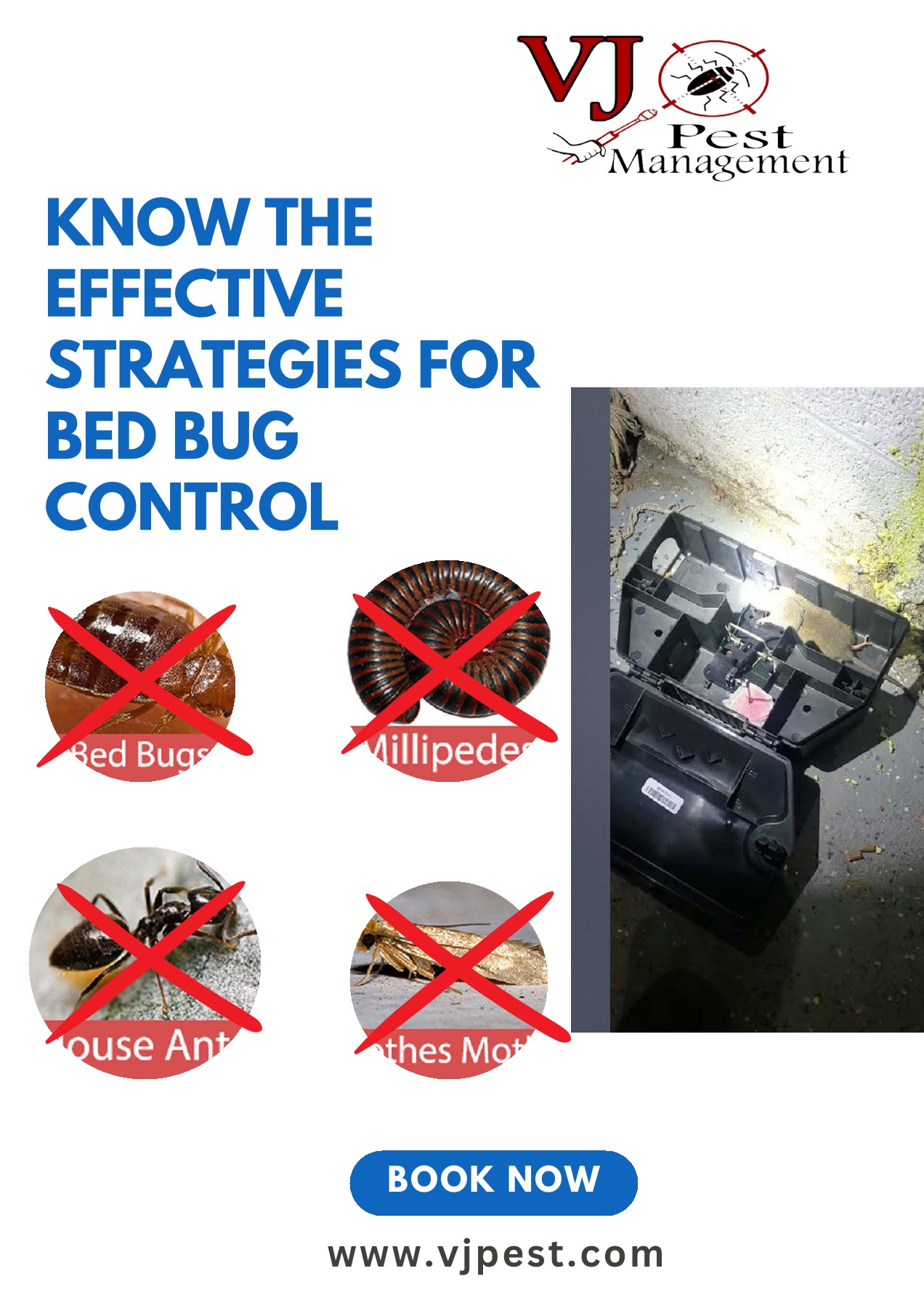 Know the Strategies for Bed Bug Treatment in Manhattan with VJ Pest