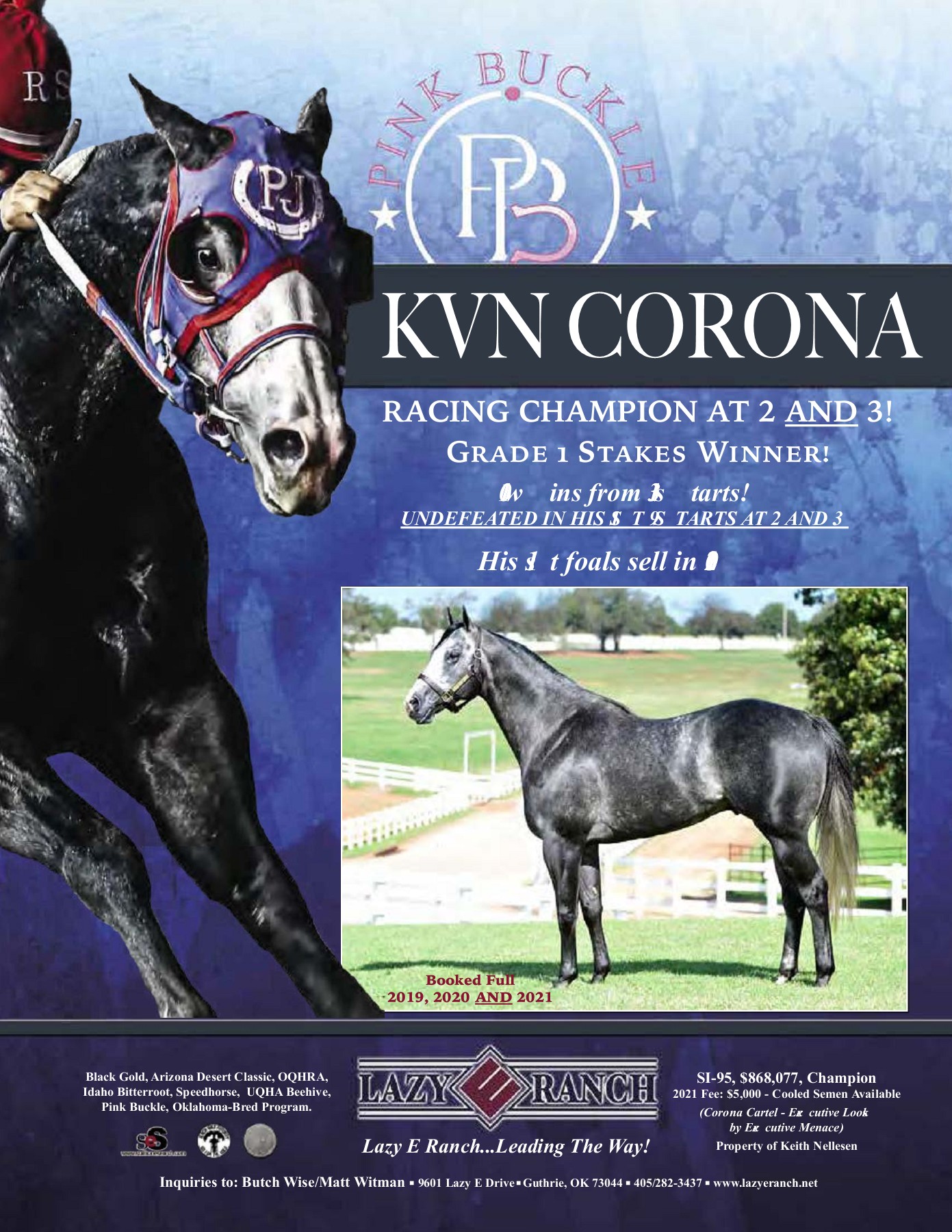 Pink Buckle 2021 Race Program and Stallion Guide trishaj1 Page 28